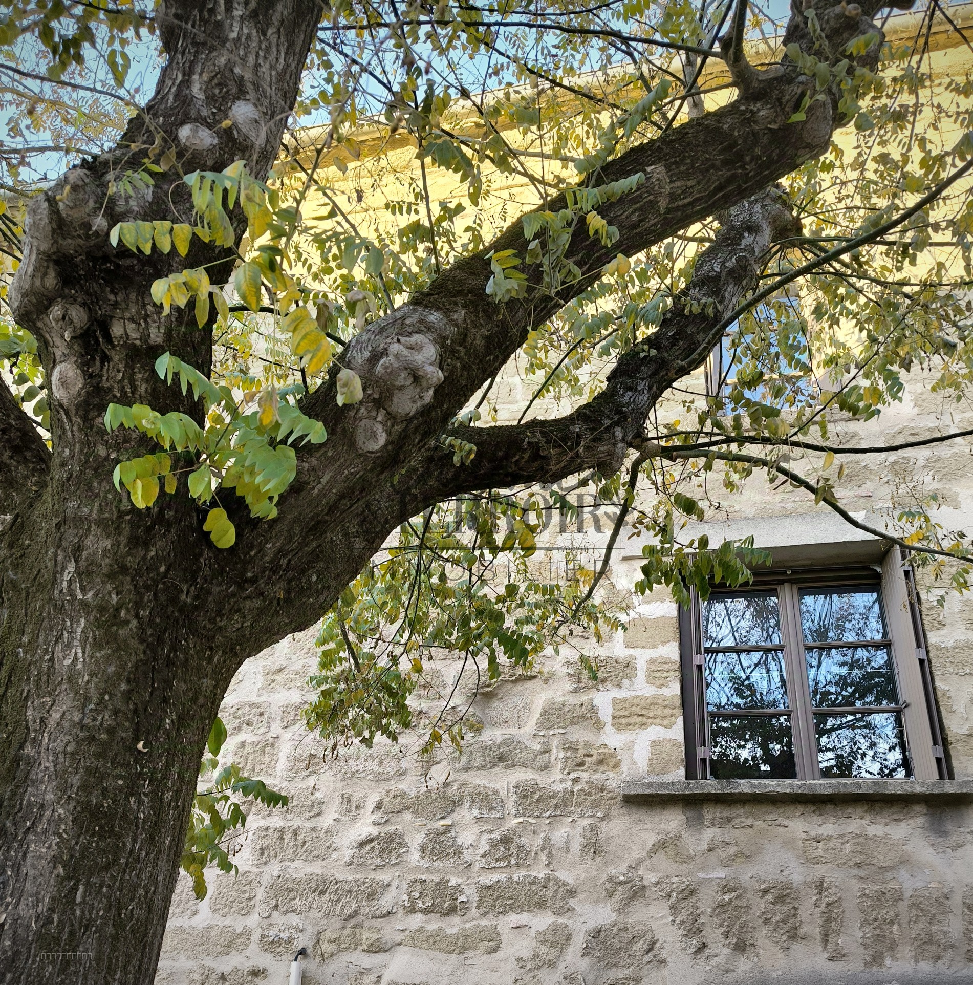 Maison de village St Quentin la Poterie — photo 2