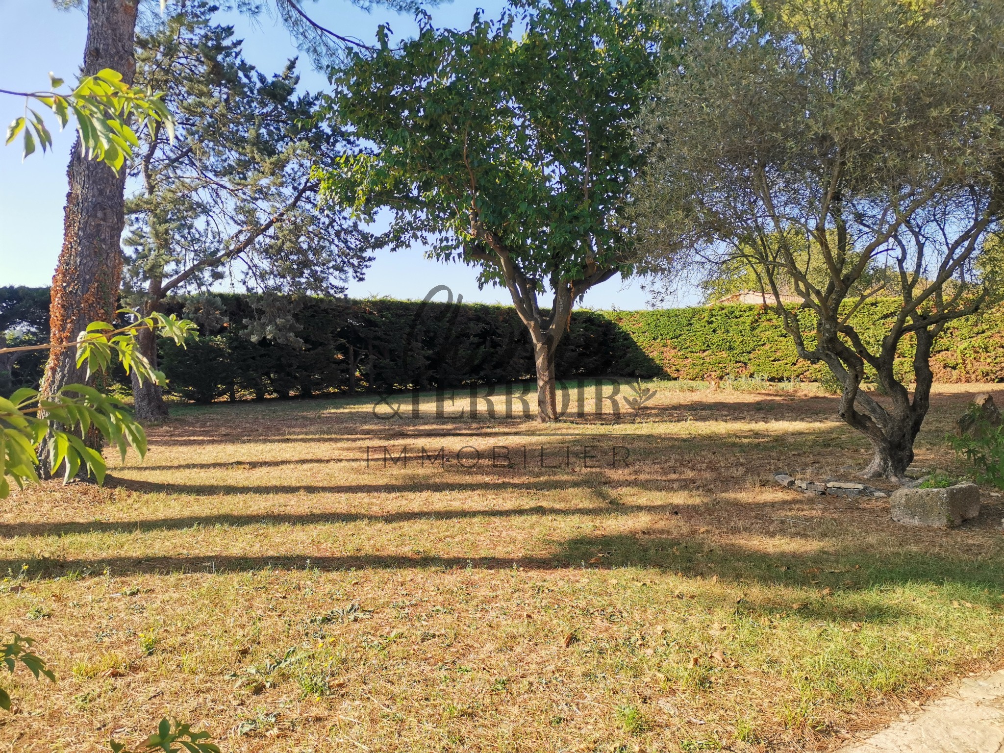 Maison traditionnelle, 150 m2 habitables, 3 chambres, sur 3000 m2 de jardin arboré avec dépendance à 15 mn d'U — photo 6