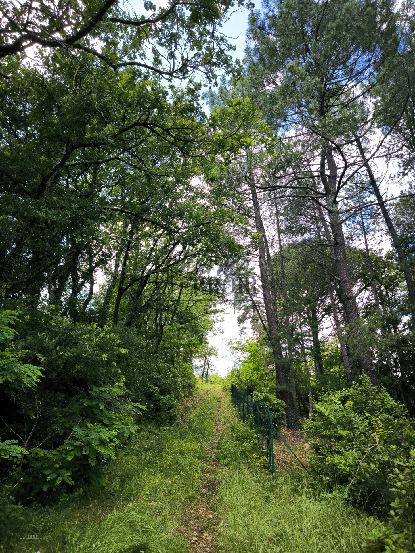 Terrain à bâtir de 7300m2 éligible au PTZ pour les primo accédants ! — photo 2