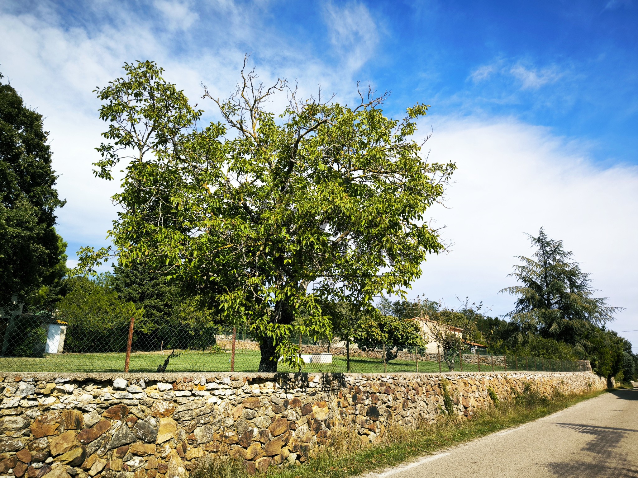 A 12 mn d'Uzès très beau terrain à bâtir éligible au PTZ pour les primo accédants ! — photo 4