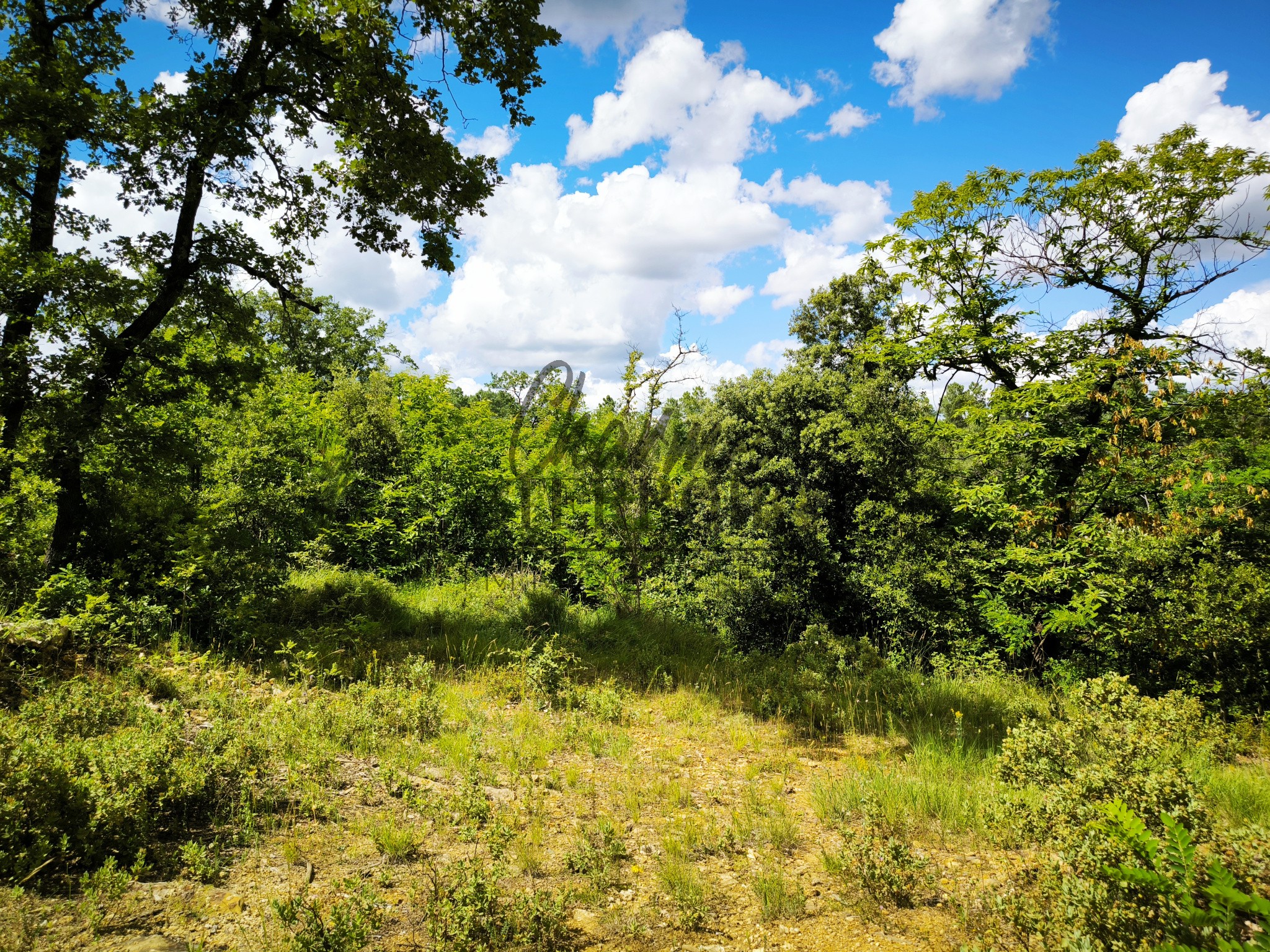 Terrain à bâtir de 7300m2 éligible au PTZ pour les primo accédants ! — photo 1