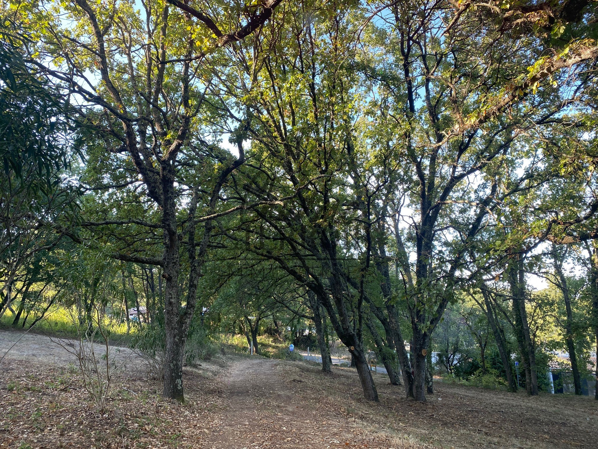 A 12 mn au nord d'Uzès Beau terrain à bâtir éligible de 1000m2 au PTZ pour les primo accédants ! — photo 6