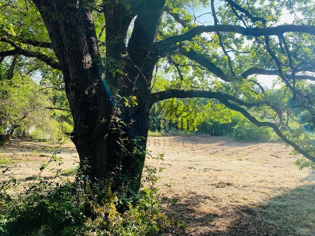 A 12 mn au nord d'Uzès Beau terrain à bâtir éligible de 1000m2 au PTZ pour les primo accédants ! — photo 5