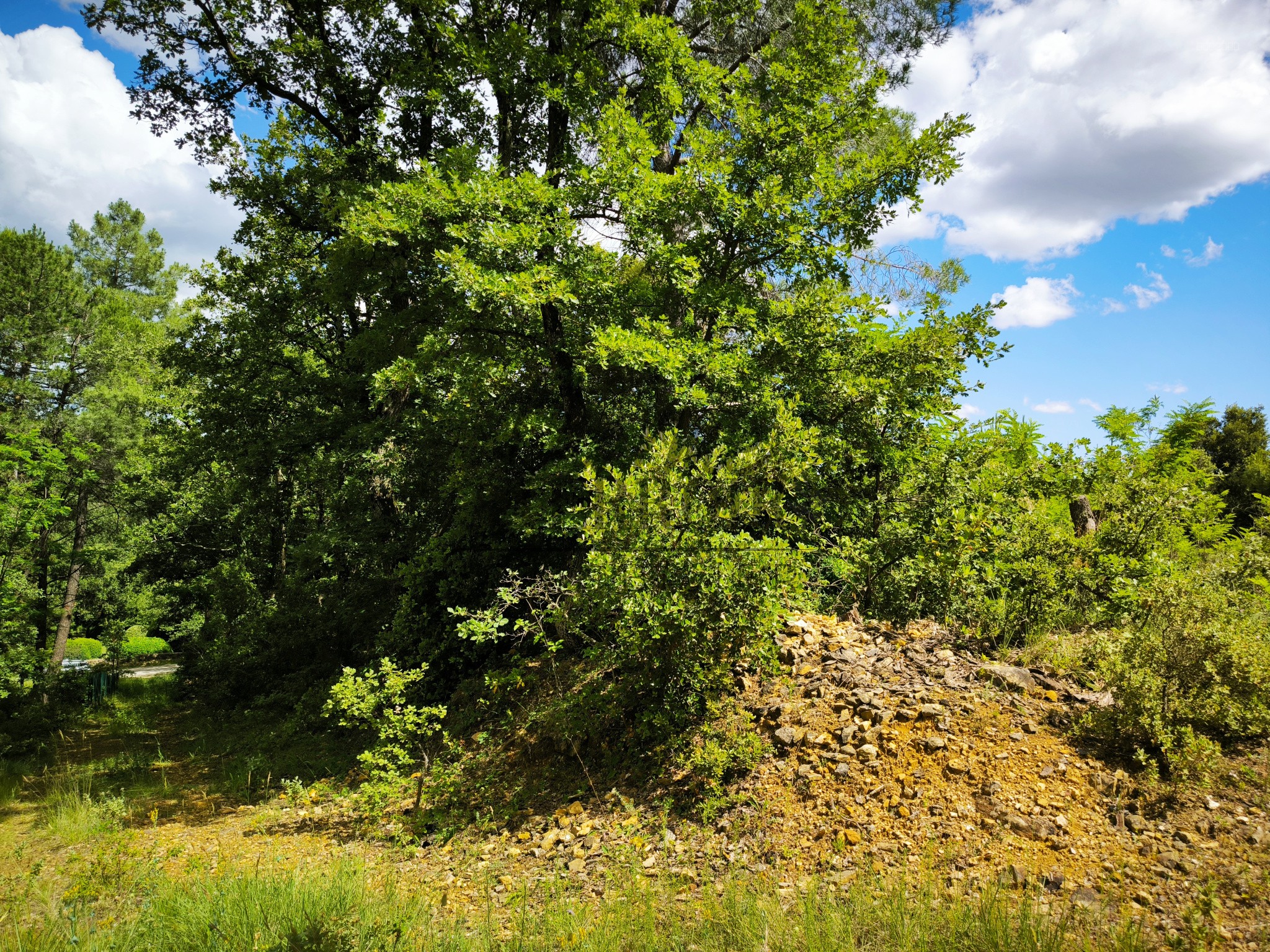 Terrain à bâtir de 7300m2 éligible au PTZ pour les primo accédants ! — photo 3