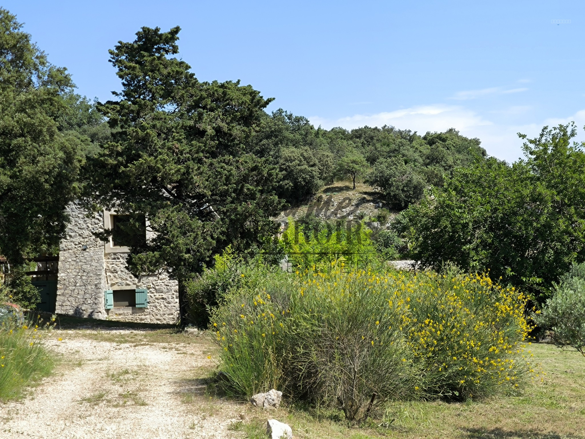En campagne Mas rénové sur 9500m2 — photo 3