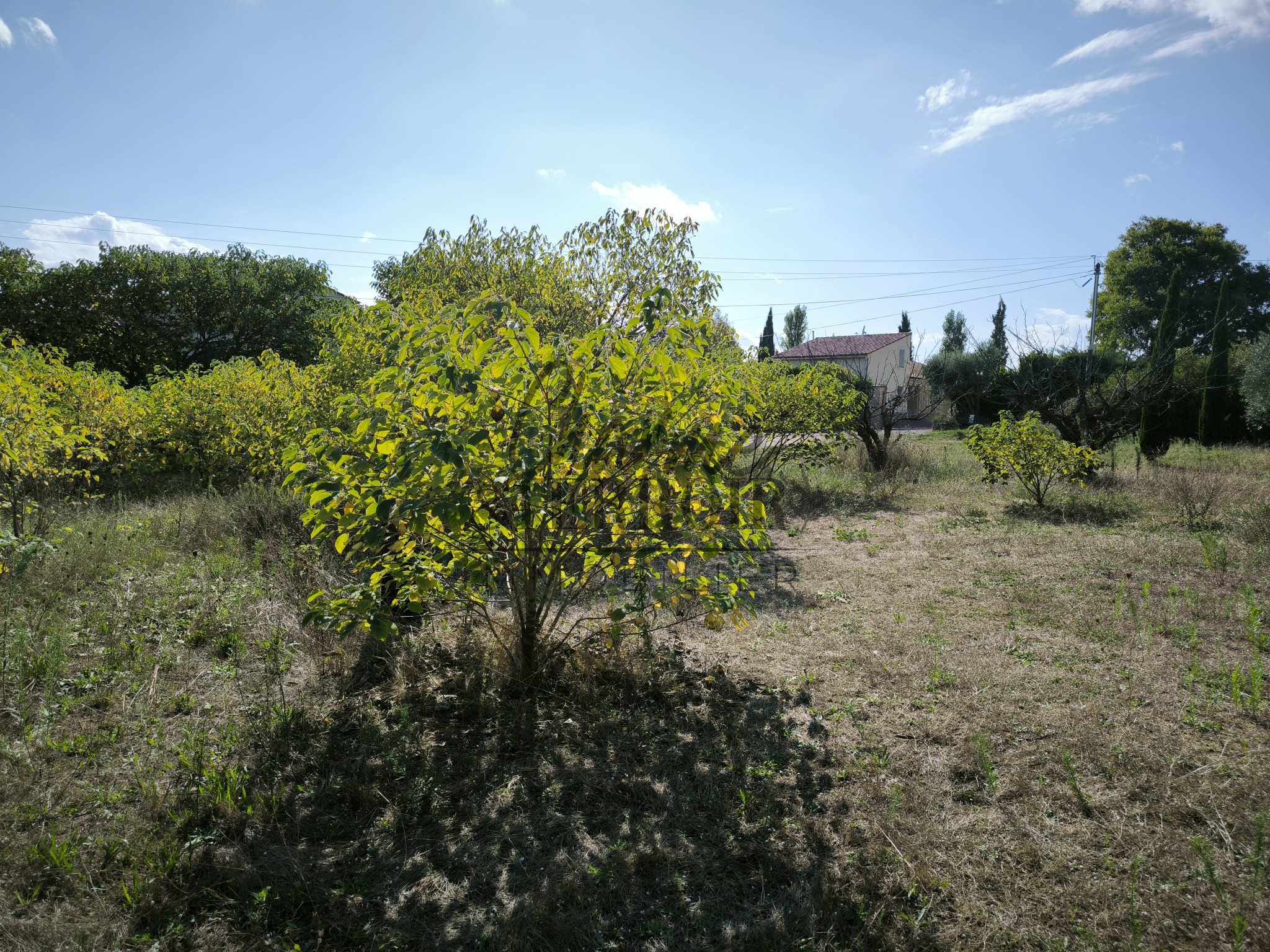 Nord Uzès terrain à bâtir de 825m2 éligible au PTZ pour les primo accédants ! — photo 2
