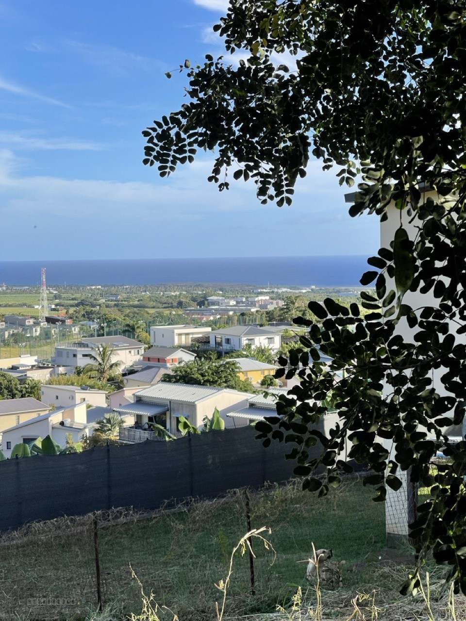Terrain de 536 m2 viabilisé hors lotissement — photo 8