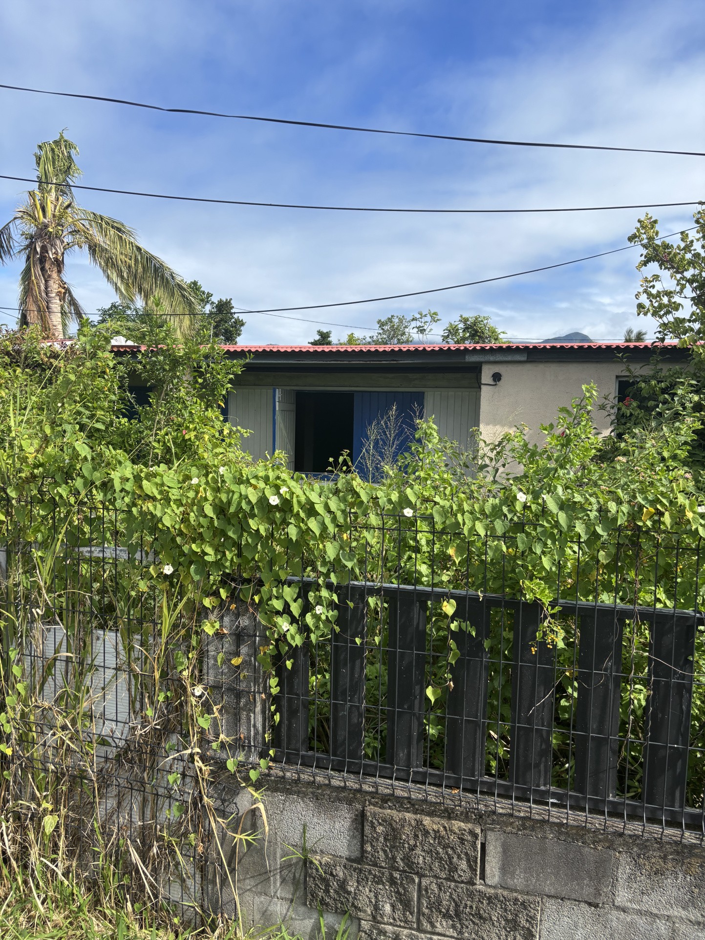 Maison à rénover - T5 - Ravine Creuse (St-André) — photo 6