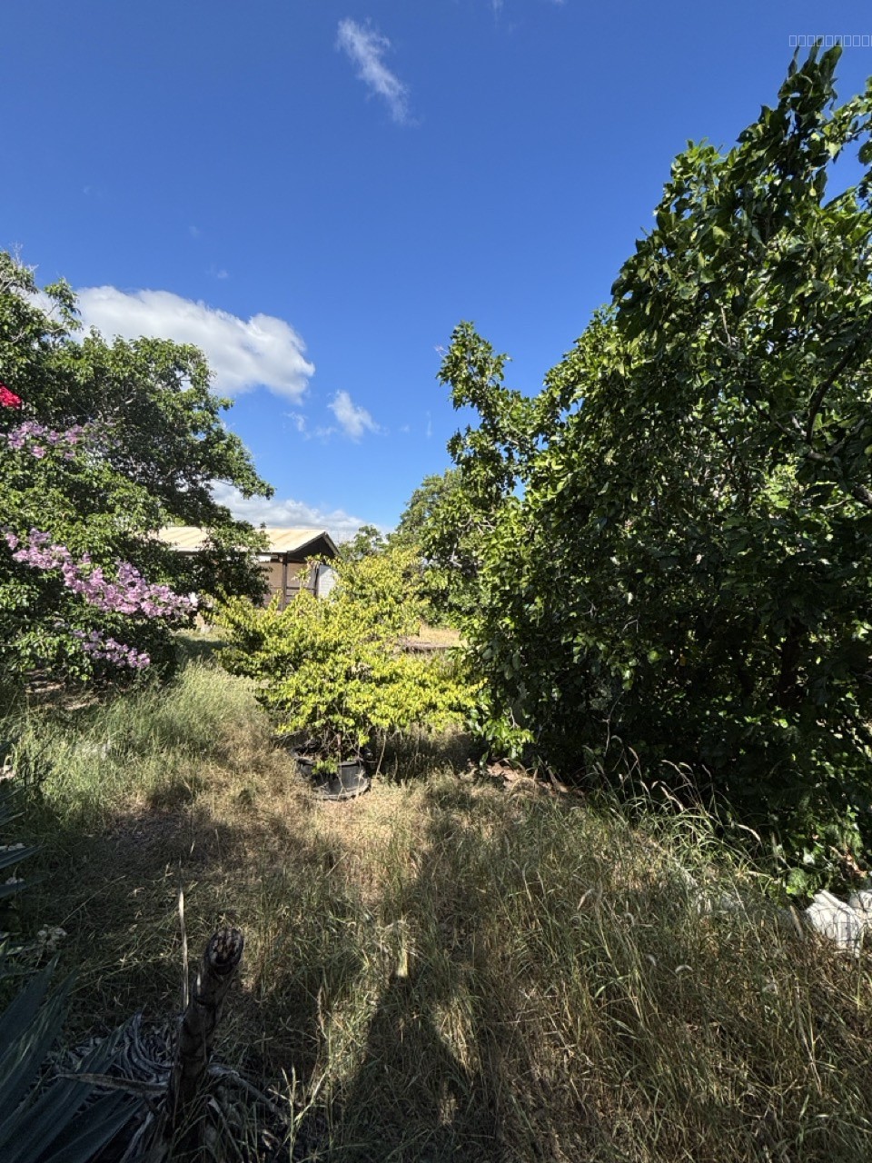 Maison à rénover sur Terrain de 874m2 - La Saline Les Bains — photo 3