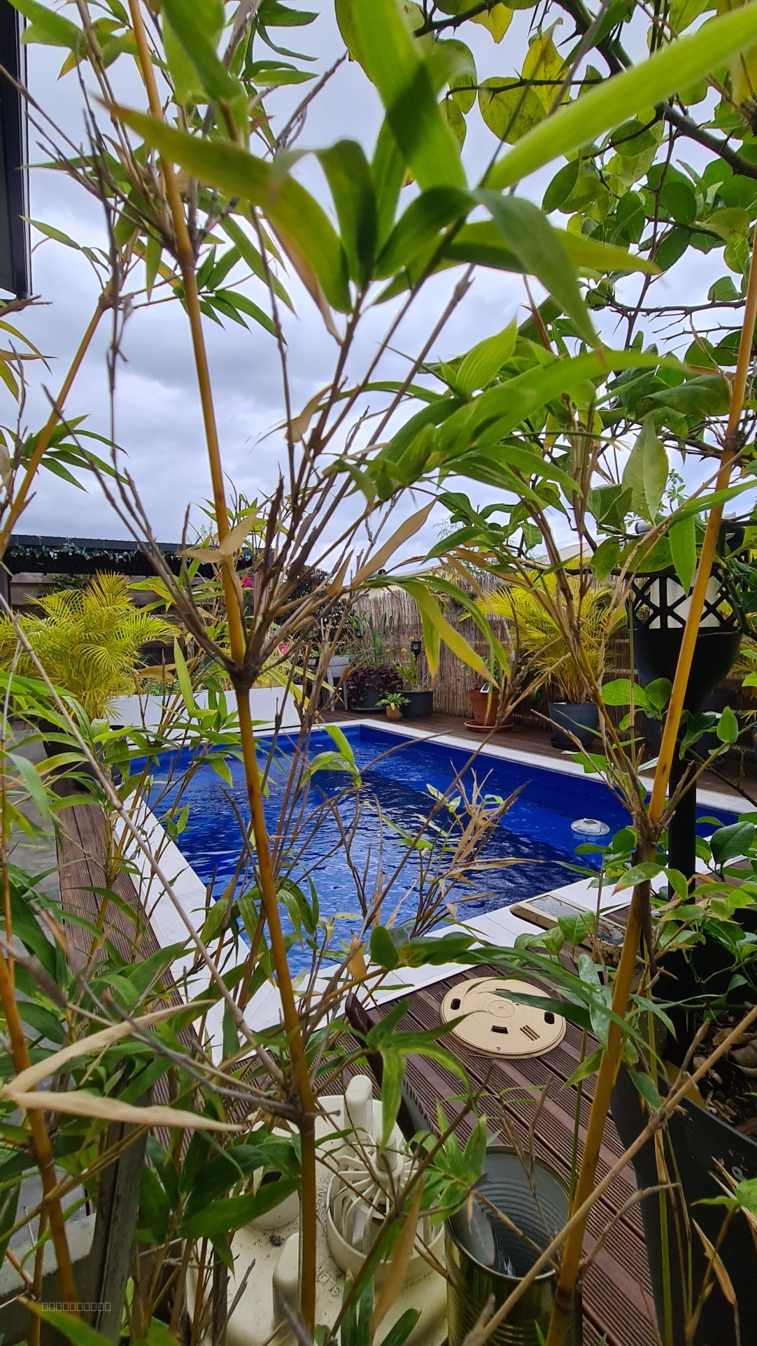 À vendre. Villa contemporaine F4 à La Plaine Saint-Paul — photo 4