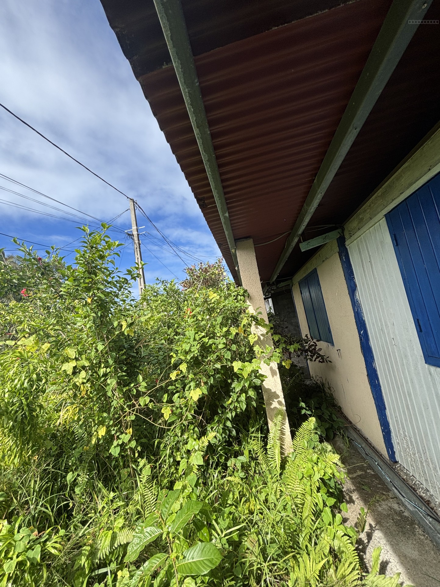 Maison à rénover - T5 - Ravine Creuse (St-André) — photo 3