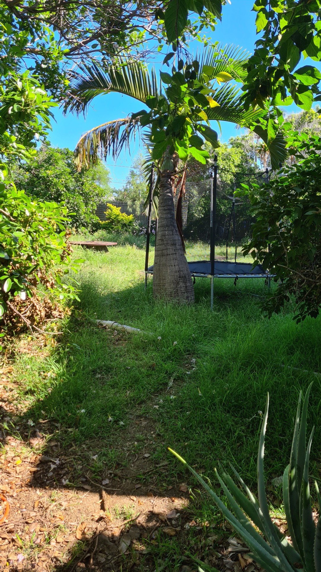 Maison à rénover sur Terrain de 874m2 - La Saline Les Bains — photo 2
