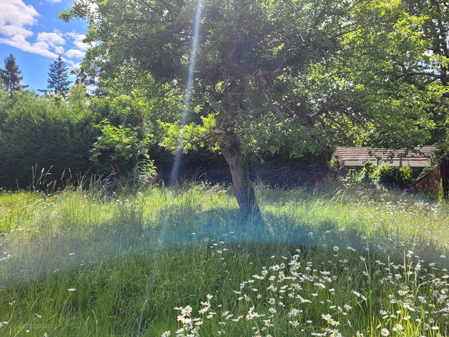 ANET — photo 2