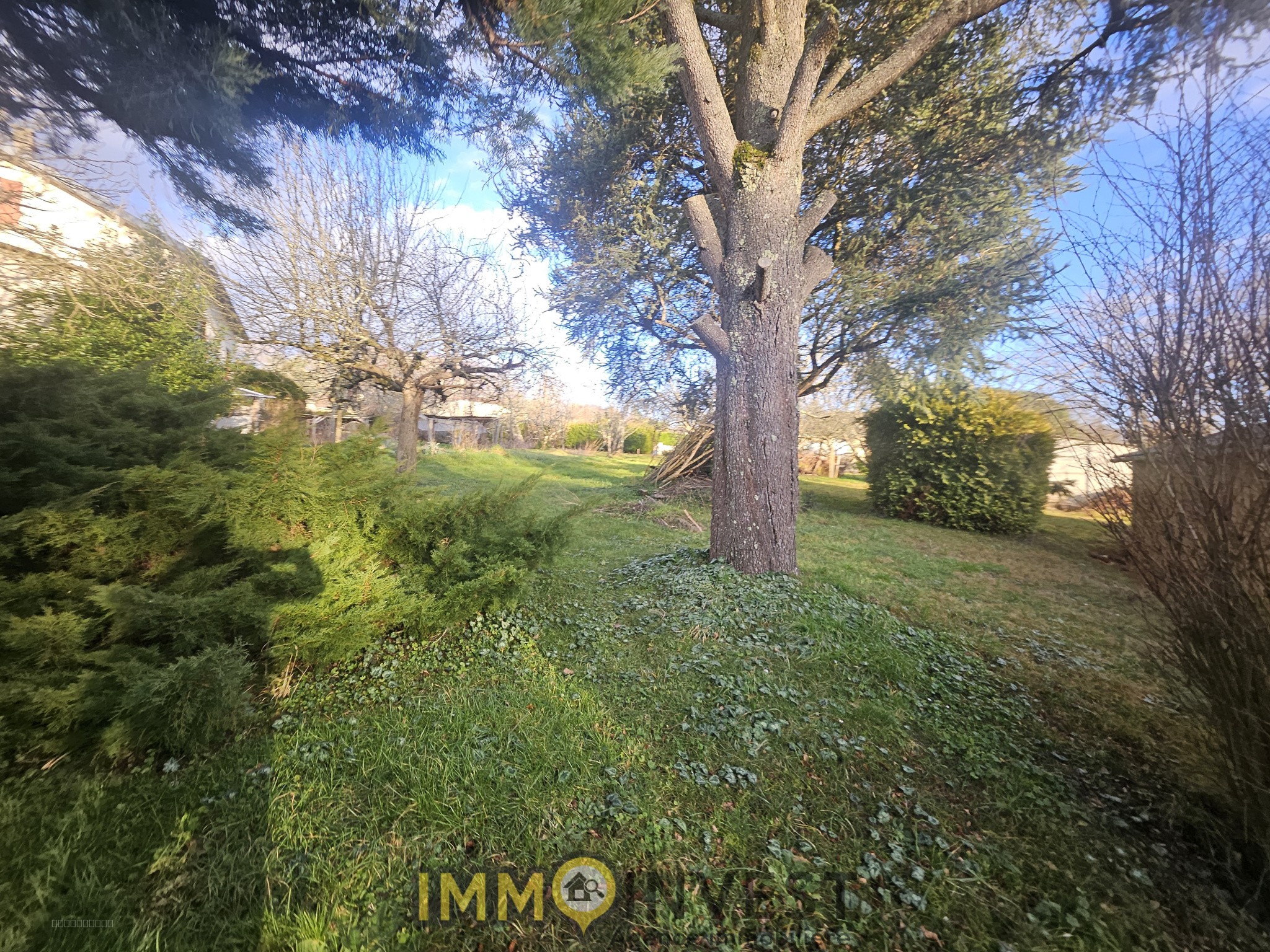 local avec terrain — photo 4