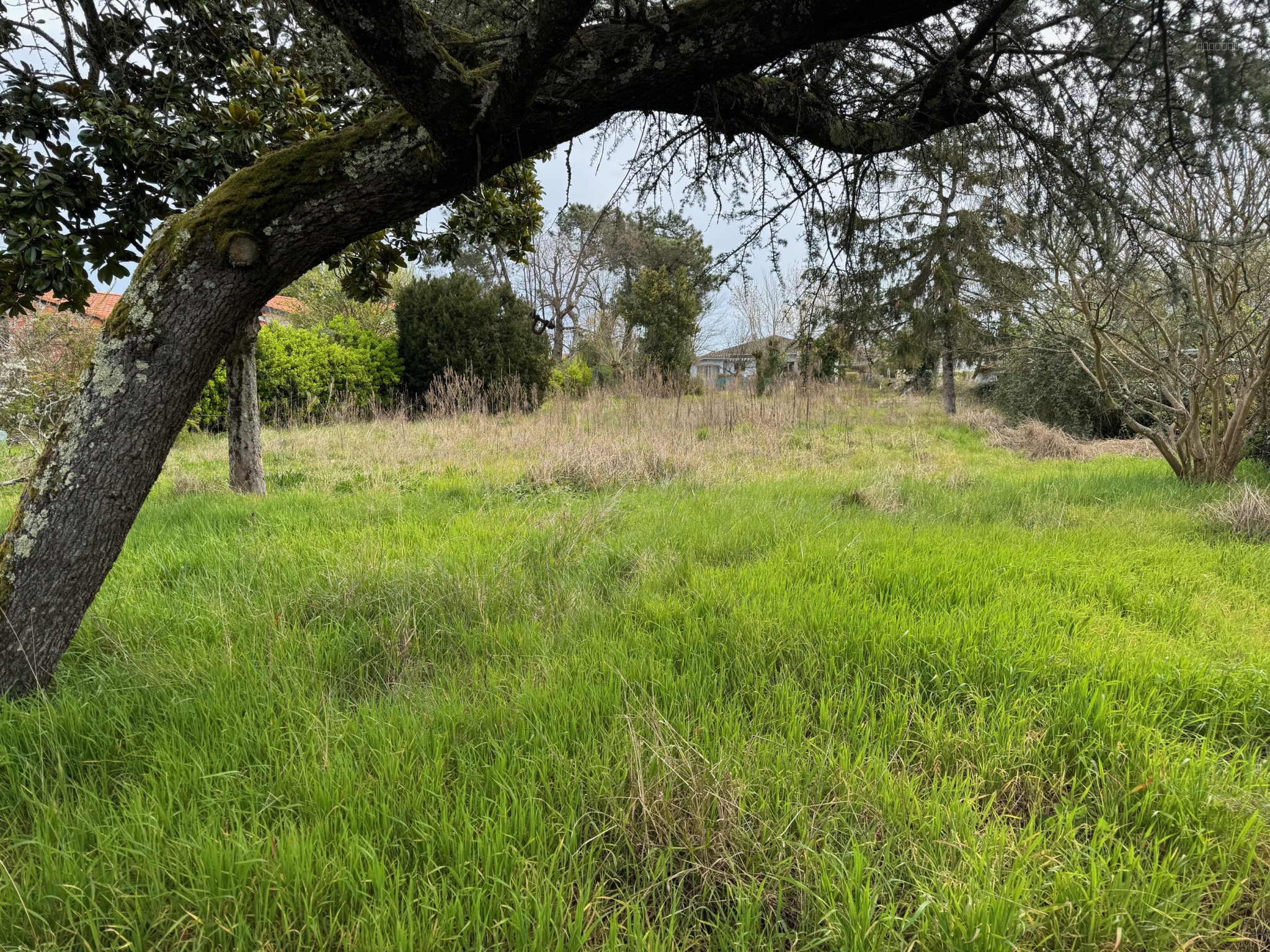 TERRAIN A BATIR DE 788m2