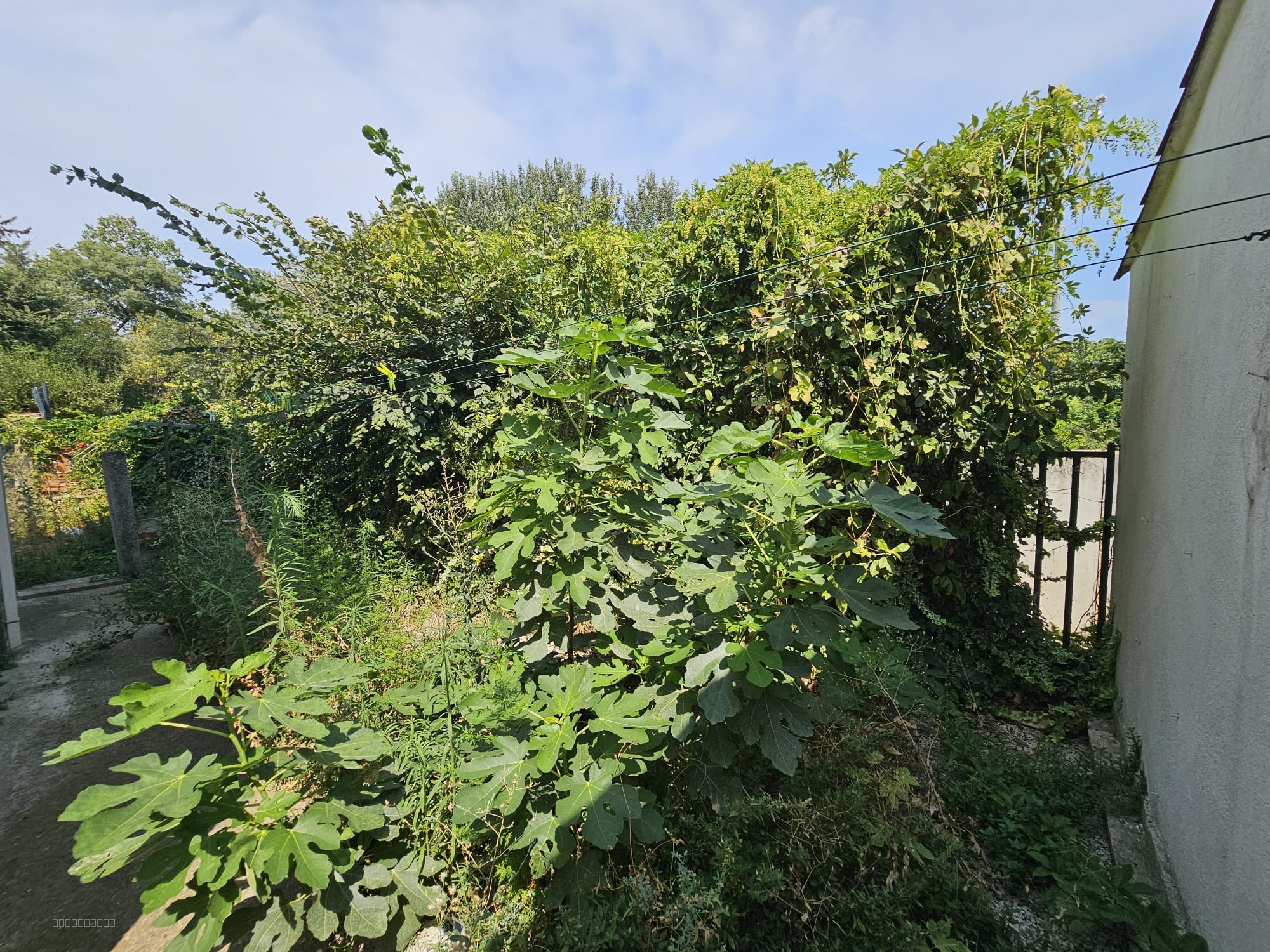 EMSEMBLE IMMOBILIER, LA PENNE SUR HUVEAUNE, IDEAL INVESTISSEUR — photo 4