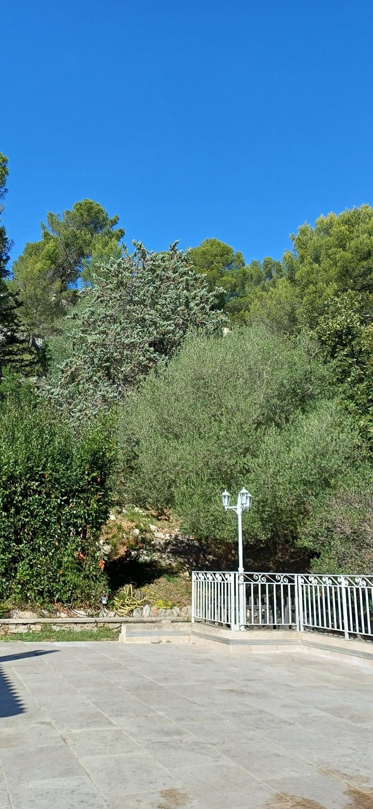 MAISON FAMILIALE 240 M2 HABITABLES,  DOUBLE HABITATION, PLEIN SUD , DÉPENDANCES, CARNOUX EN PROVENCE — photo 16