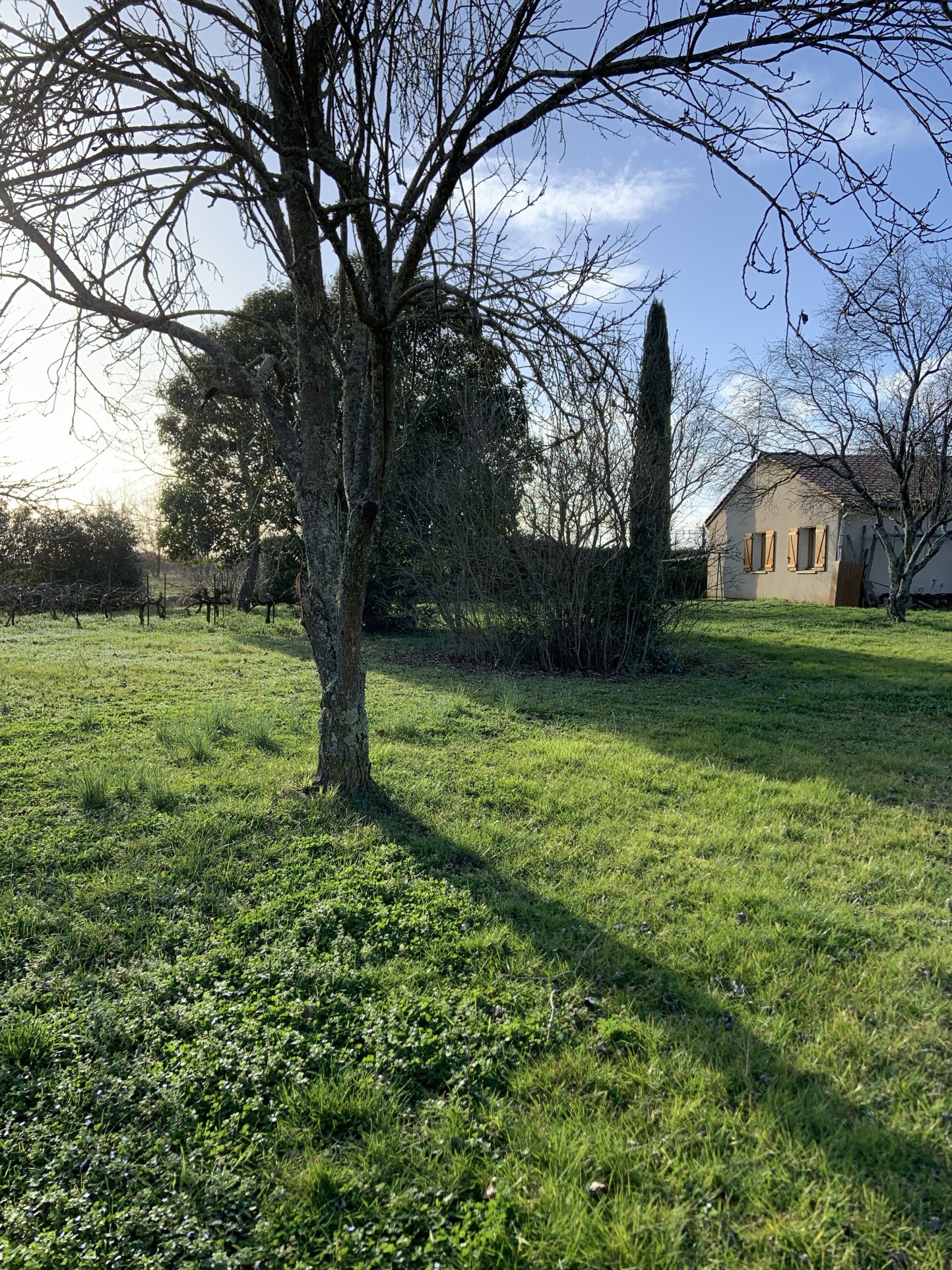 Maison de plain pied de Type T6 — photo 3