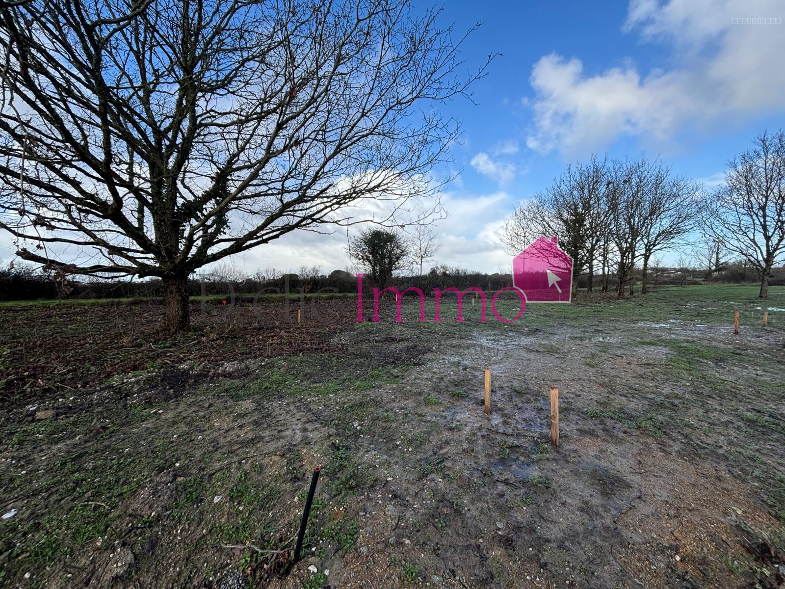 SALLERTAINE - Terrain de 394 m2 - OFFRE EXCEPTIONNELLE -5 000€ — photo 5