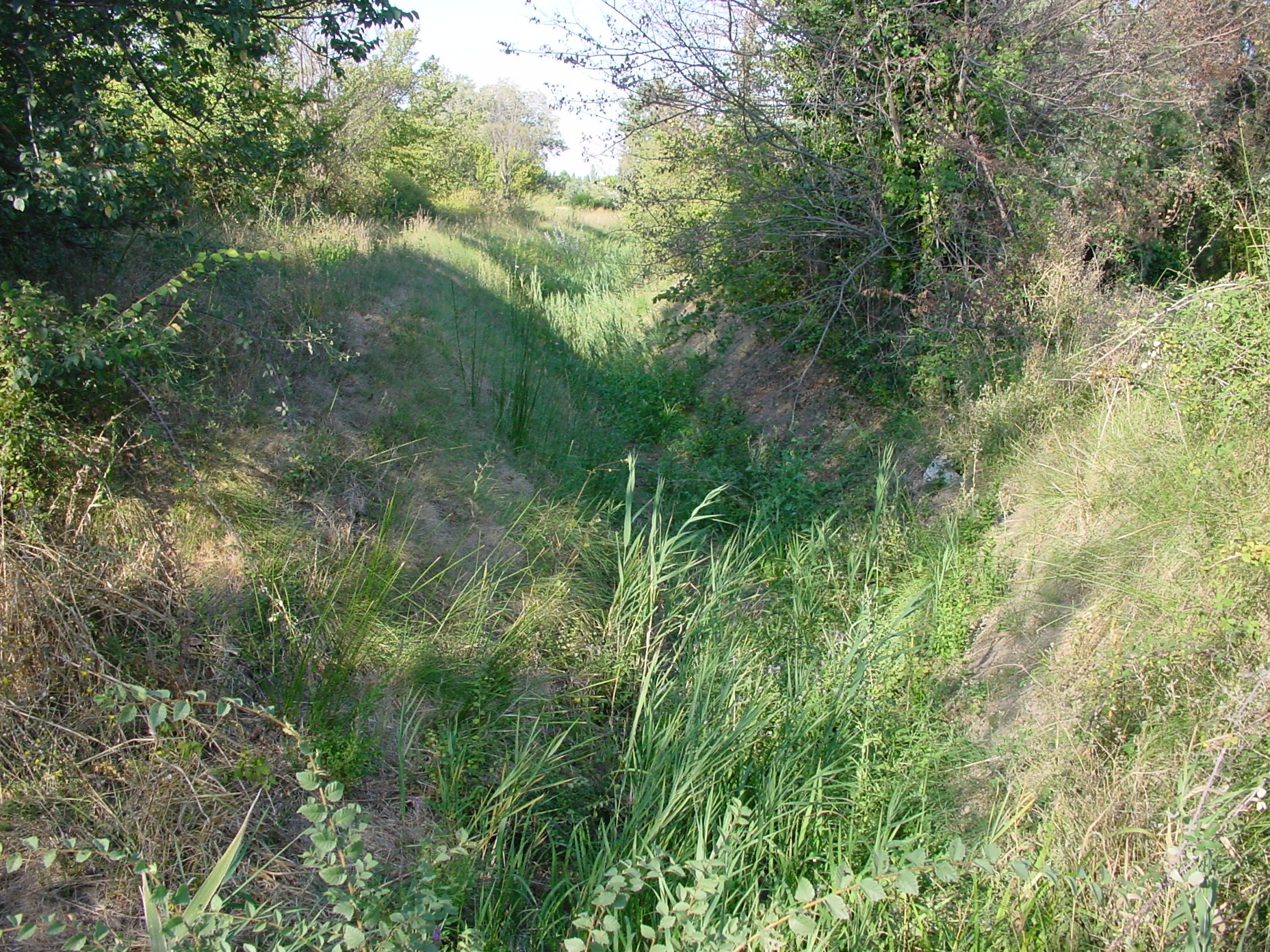Marguerittes Cressac-Est parcelle agricole de 2645 m2 — photo 3