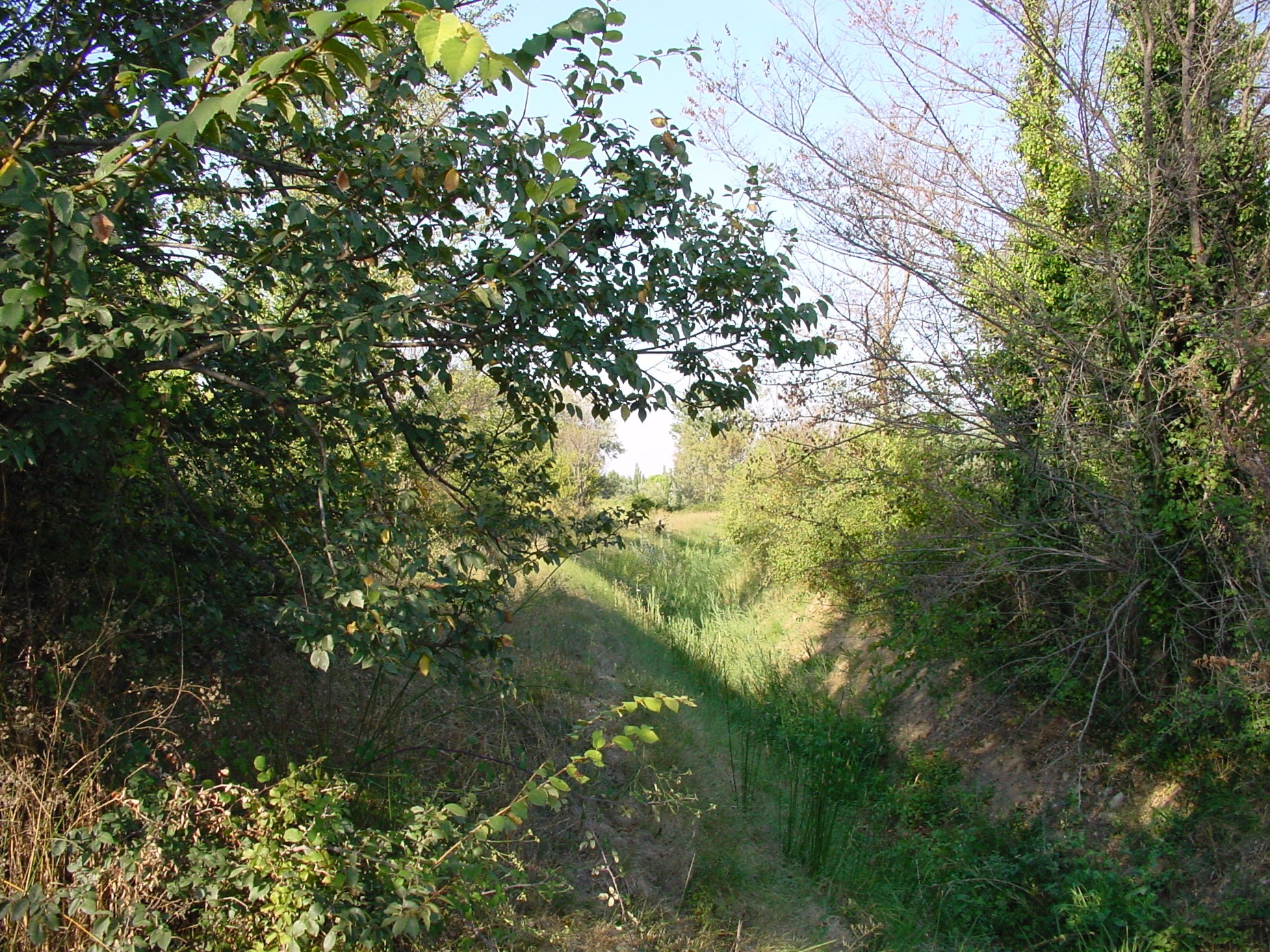 Marguerittes Cressac-Est parcelle agricole de 2645 m2 — photo 1