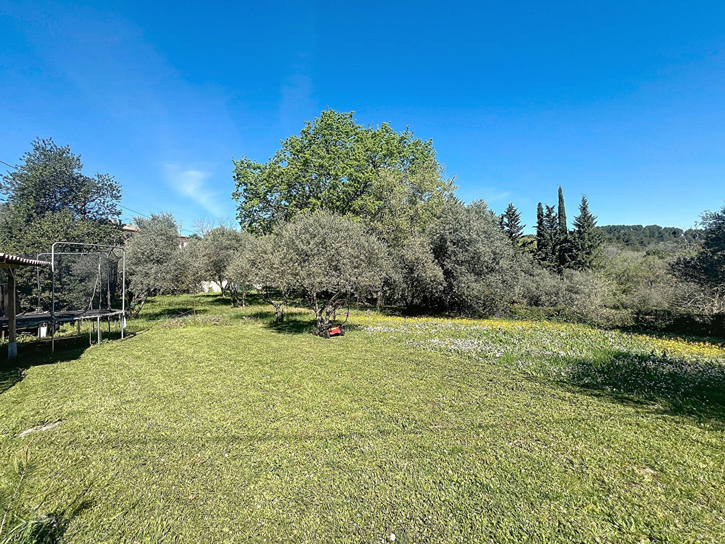 Sur un terrain de 1500 m2. — photo 2