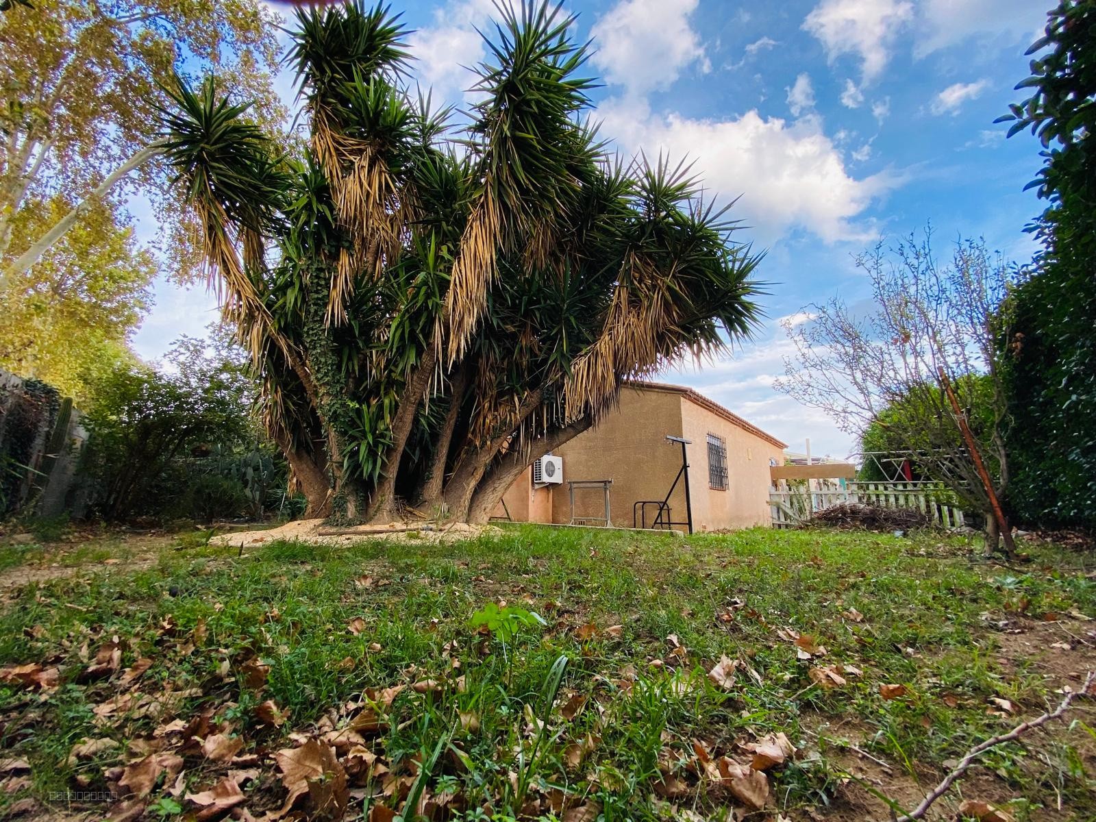 Elne Villa Plain Pied 150m2 habitables zone artisanale avec hangar 150m2 ! — photo 2