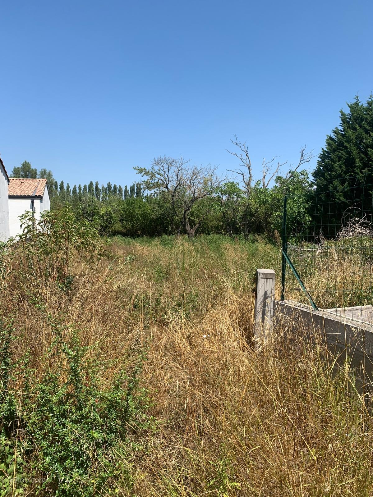 Vue d'ensemble d'un terrain constructible à vendre à Castelnaudary avec herbes hautes.