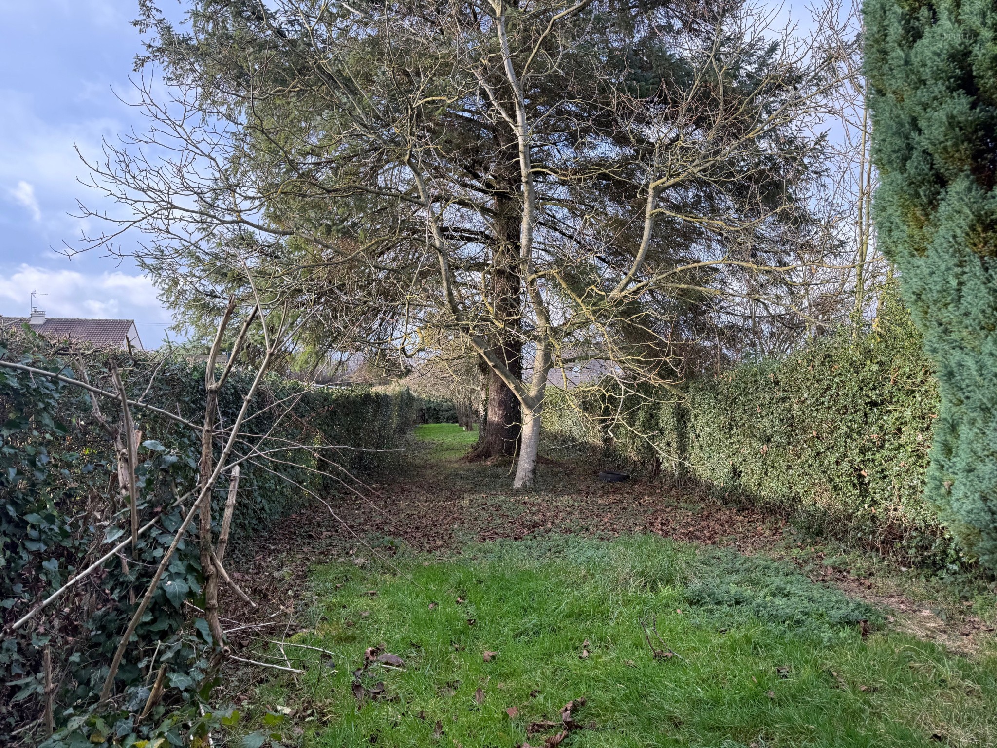 Maison à Beaucamps le Vieux — photo 3