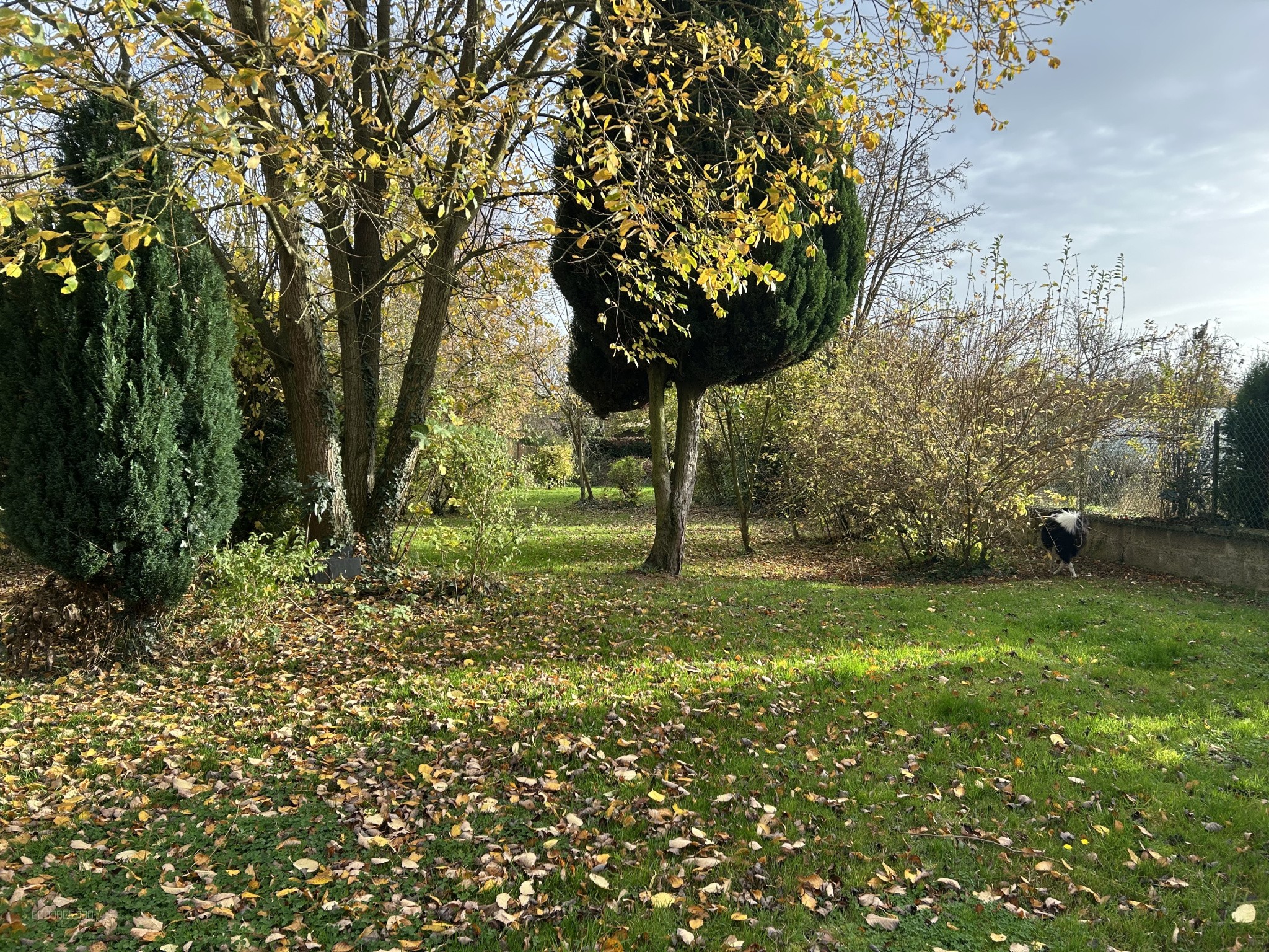 Maison entièrement rénovée à HORNOY-LE-BOURG — photo 12