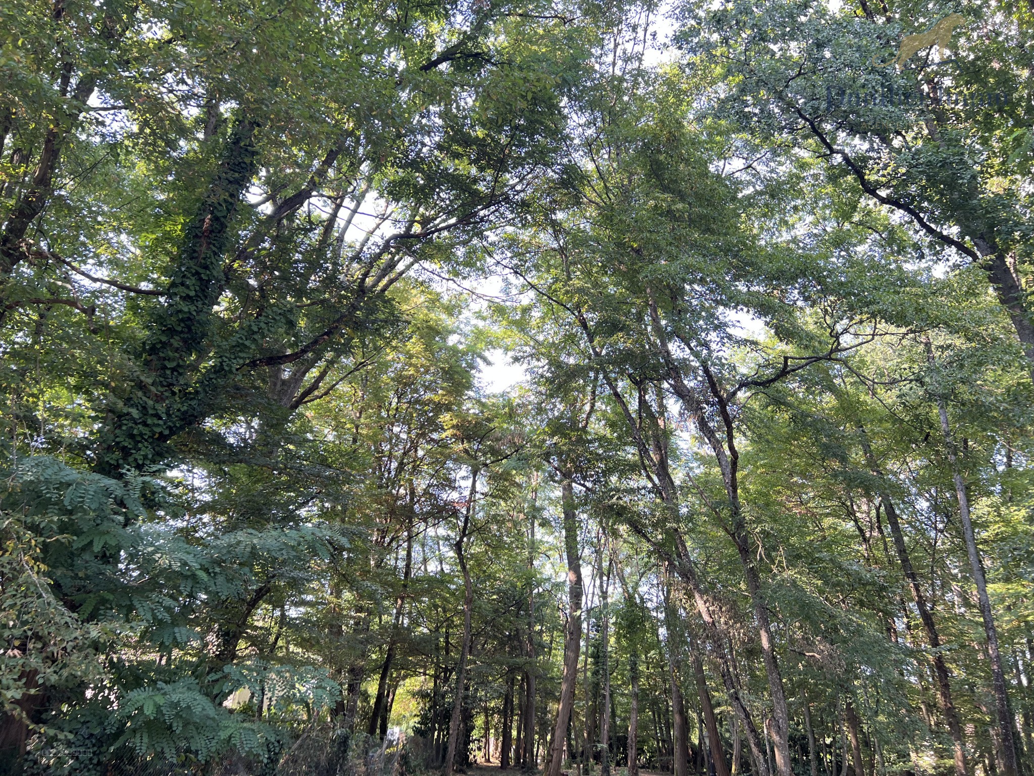 Magnifique propriété à moins de 15 min de Tours — photo 4
