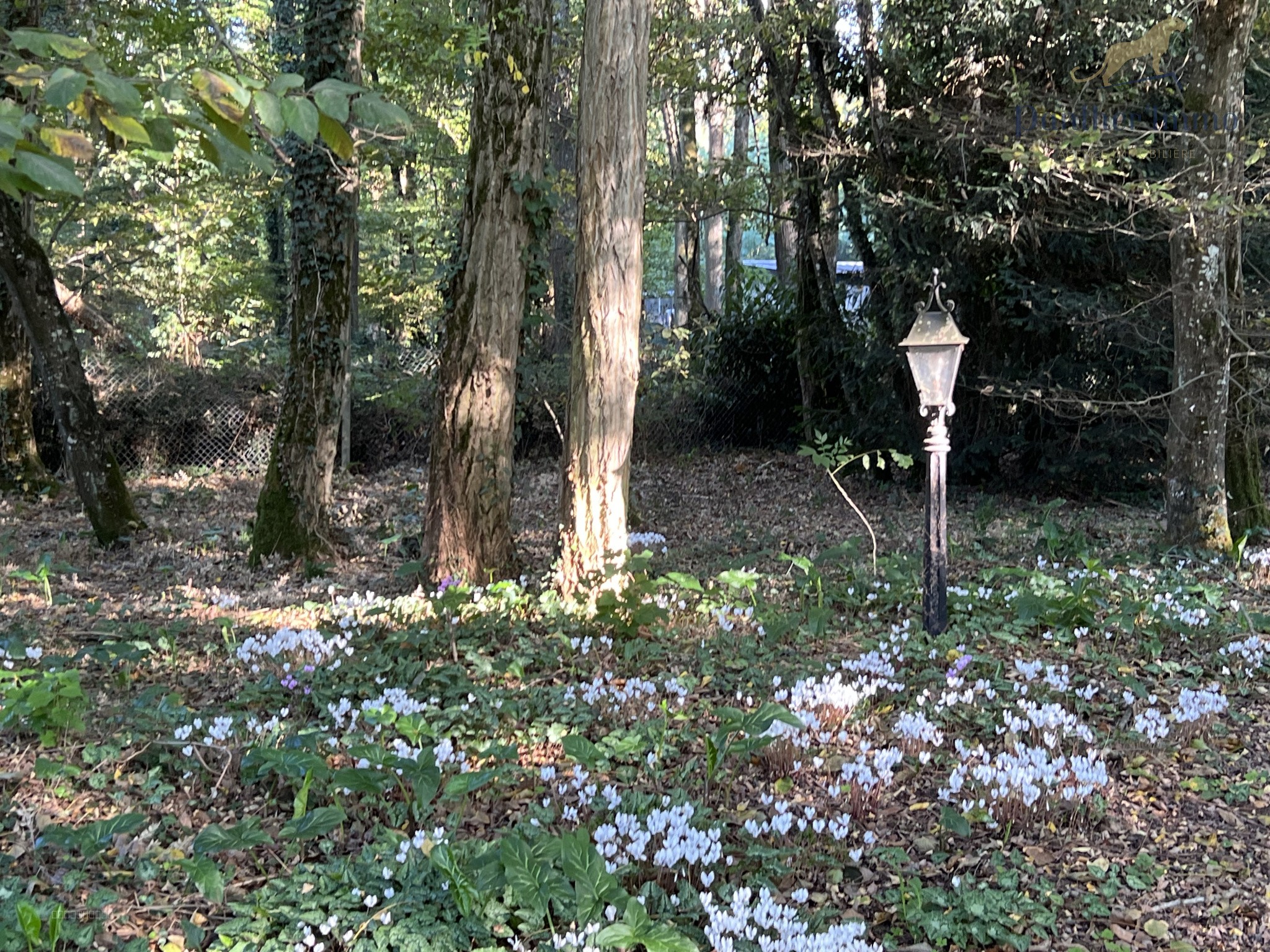 Magnifique propriété à moins de 15 min de Tours — photo 12