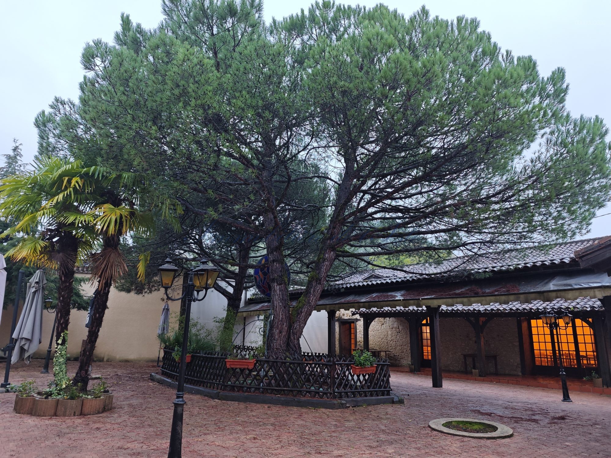 maison Chalagnac — photo 9