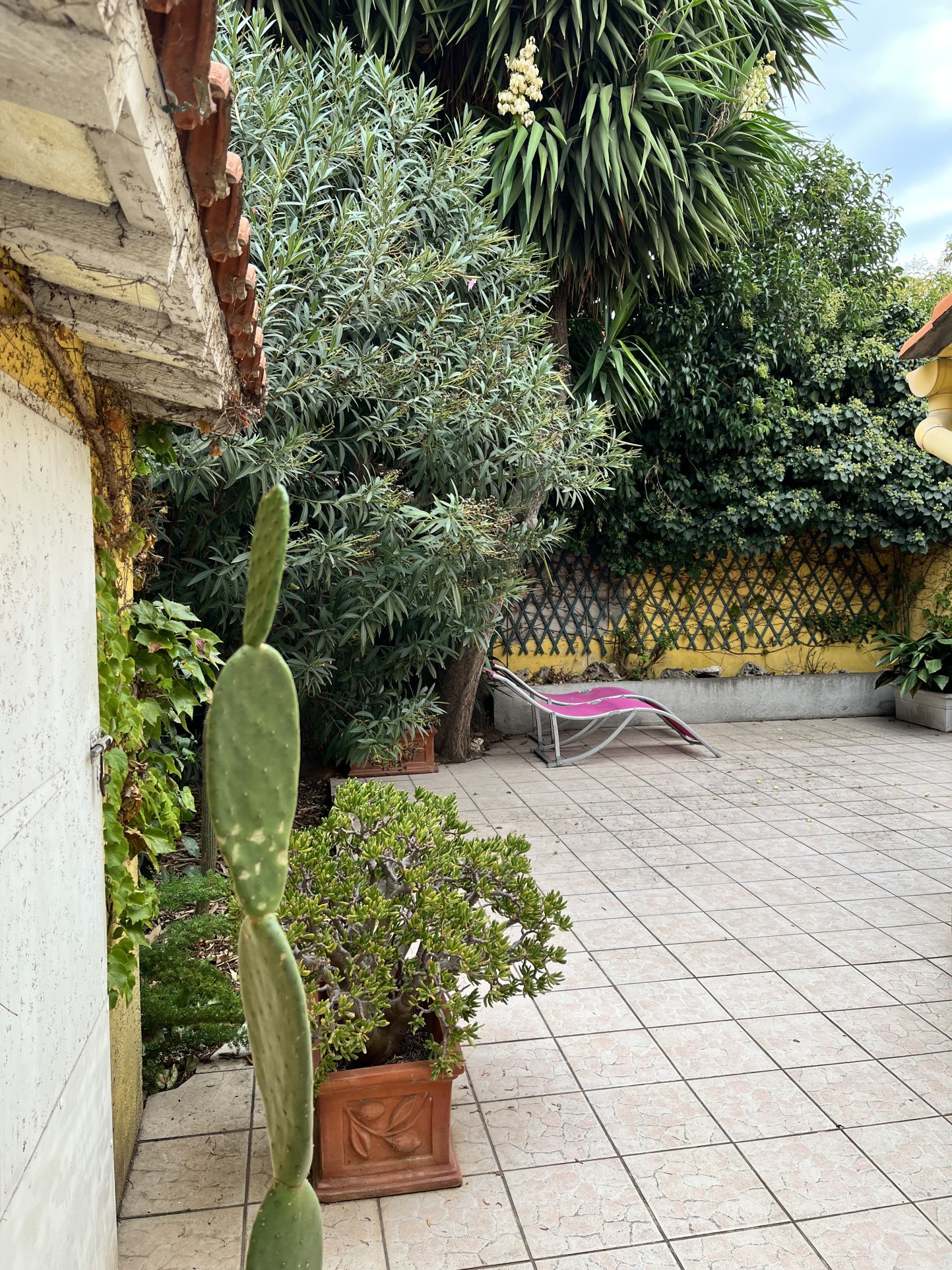 Charmante maison de ville T3 entièrement rénovée avec jardin — photo 5