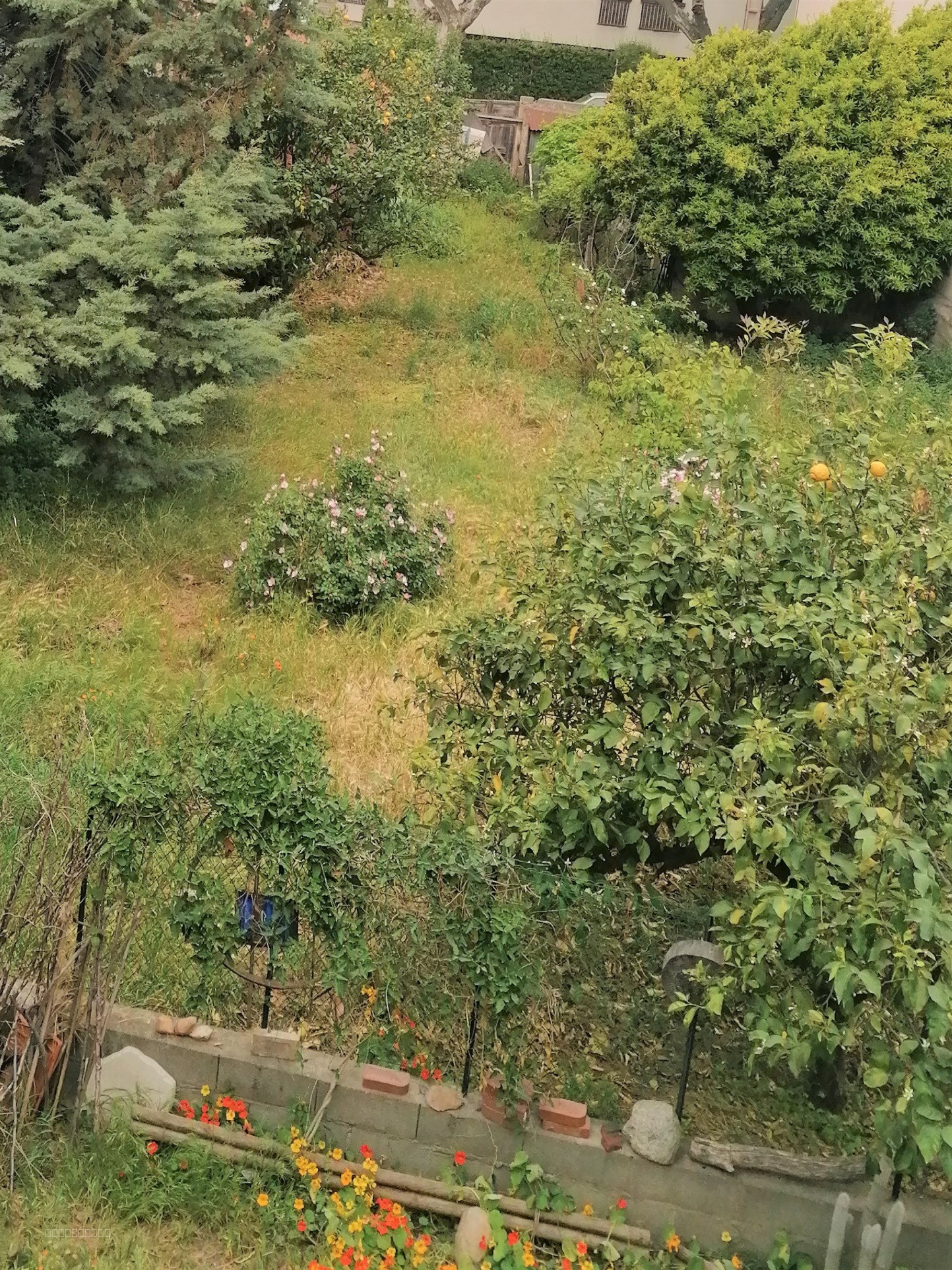 Perpignan : Terrain de 376m2 — photo 2