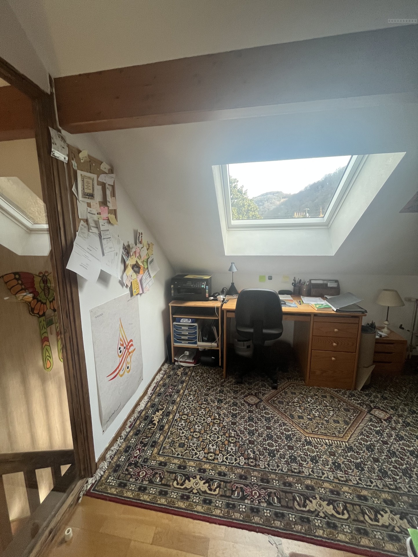 GIERES QUARTIER ROSERAIE DUPLEX T3/T4 — photo 11