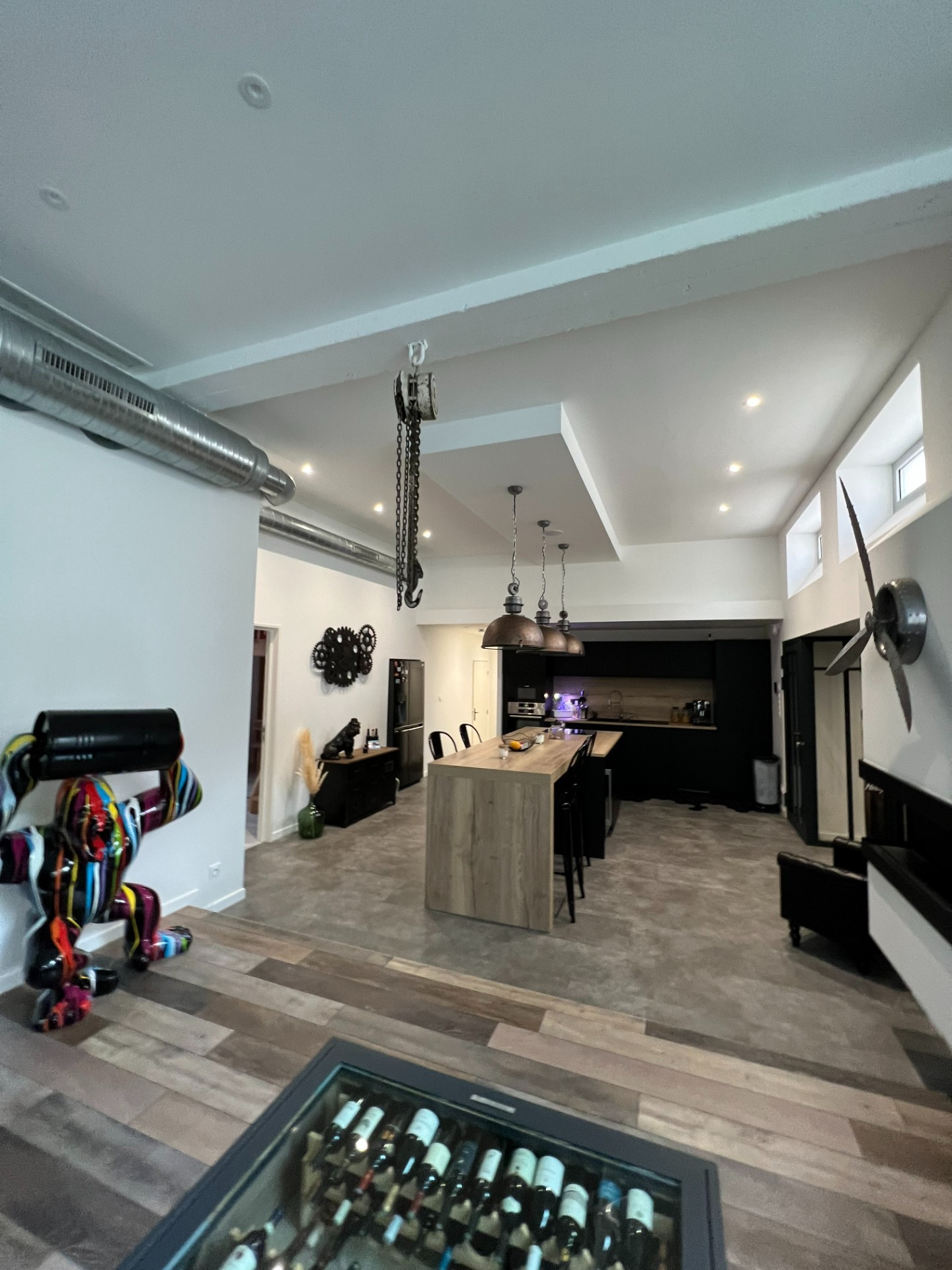 GIERES LOFT 152m2 + JARDIN + COULOIR DE NAGE — photo 7