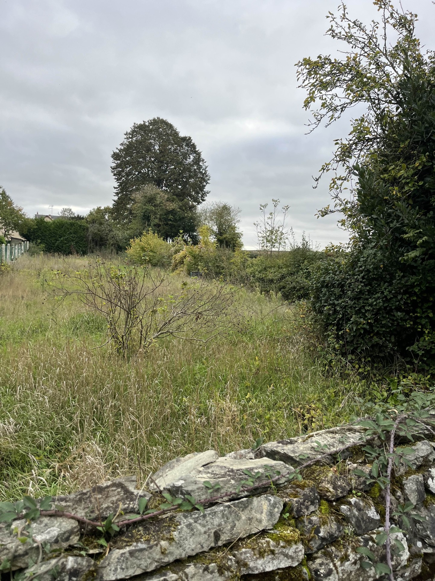 Terrain 369m2 Gesnes le Gandelin — photo 4