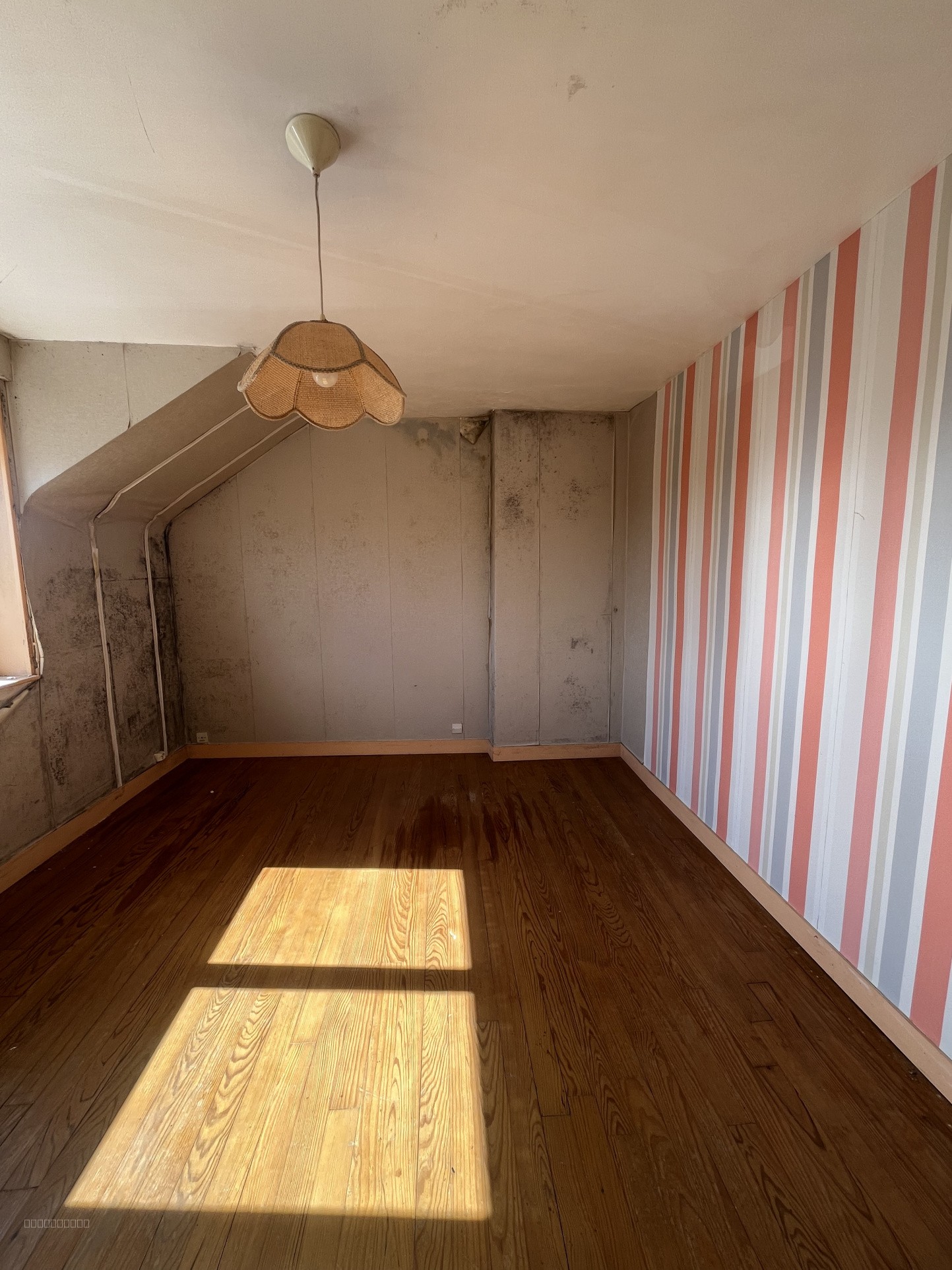 Maison Courteille — photo 6