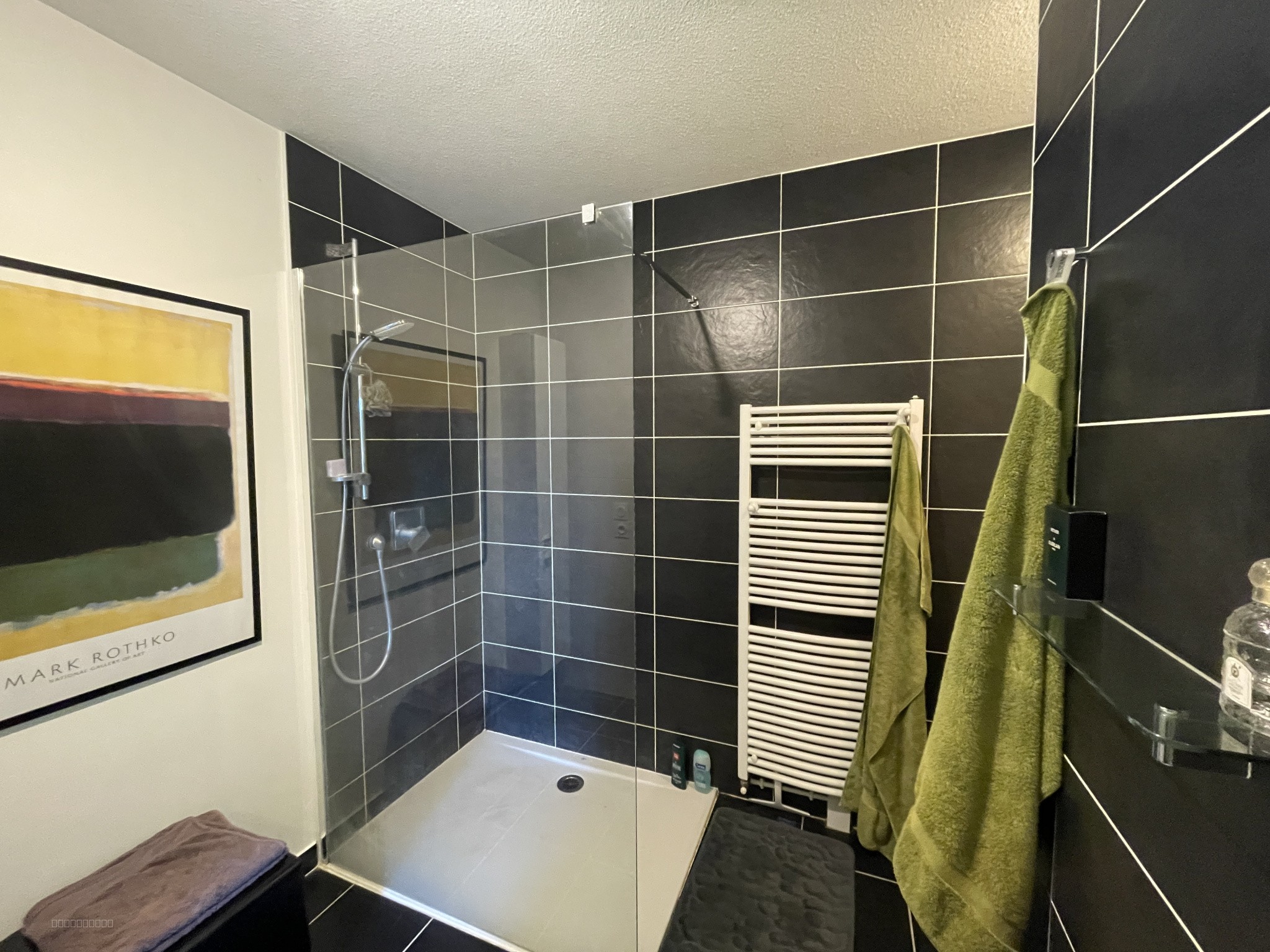 Appartement en viager occupé de 109 m2 Quartier Allées de Morlaàs — photo 4