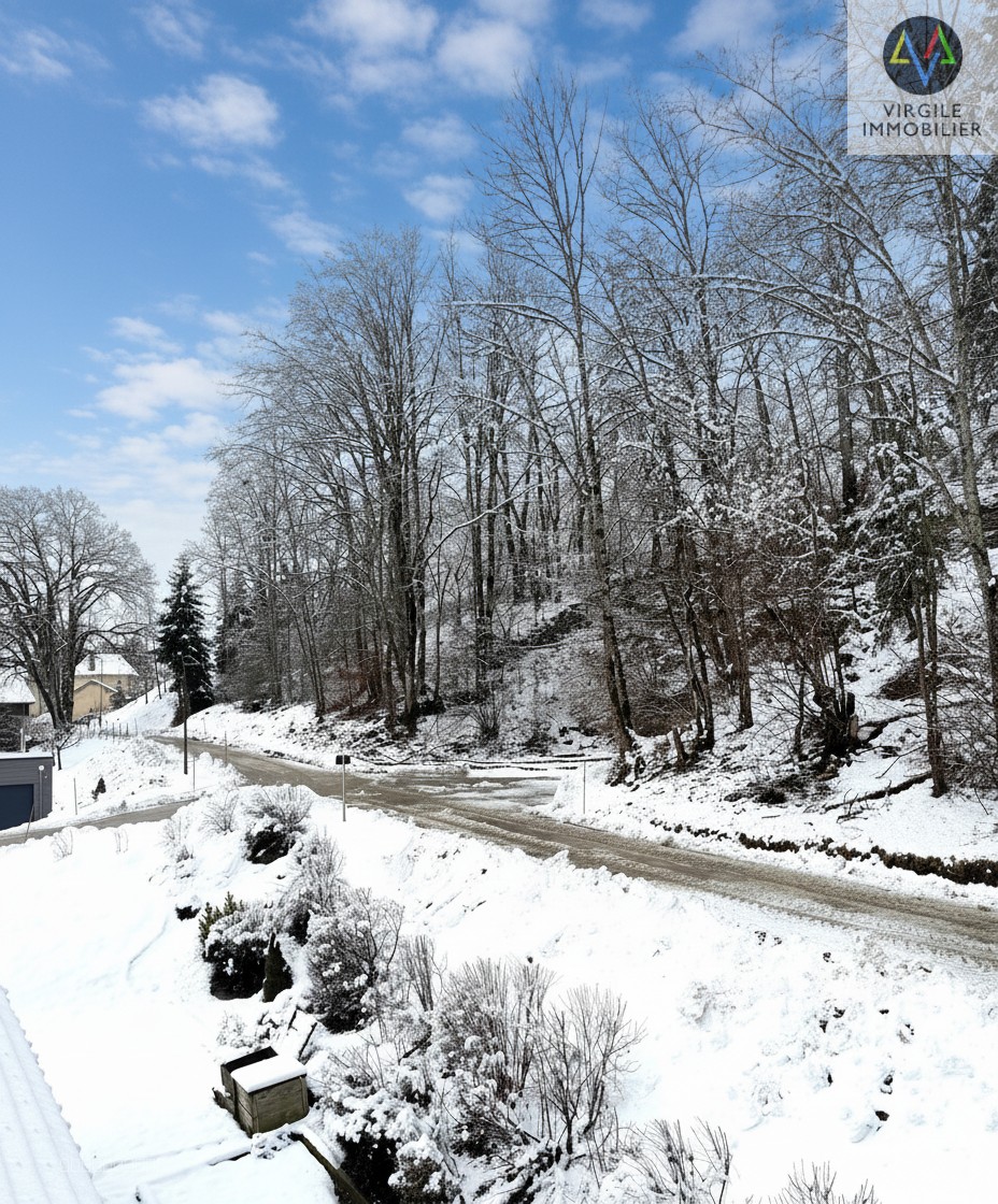 Vente Triplex sur la commune des Grangettes. — photo 12