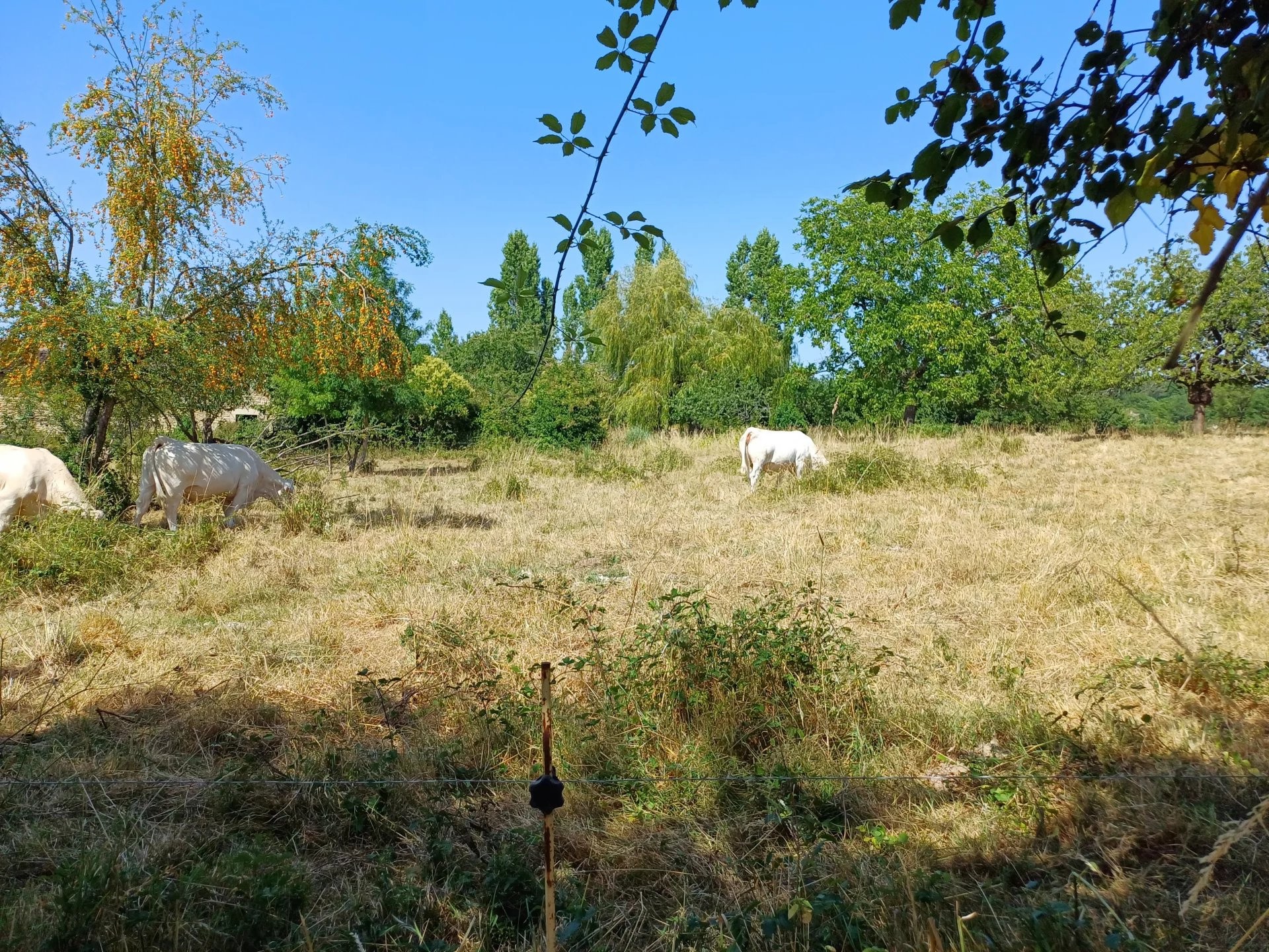 TERRAIN CONSTRUCTIBLE