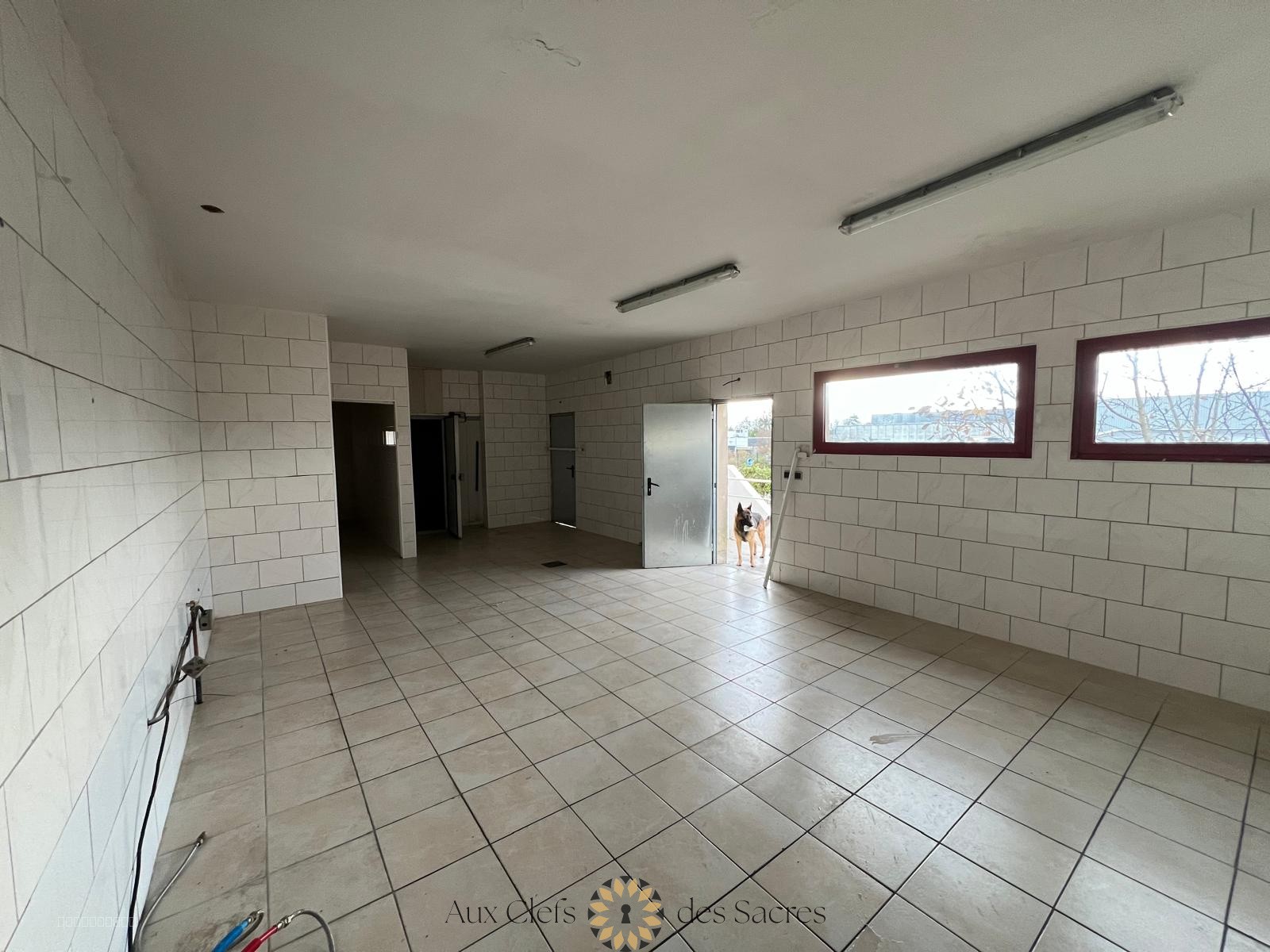 LOCAL COMMERCIAL — photo 14