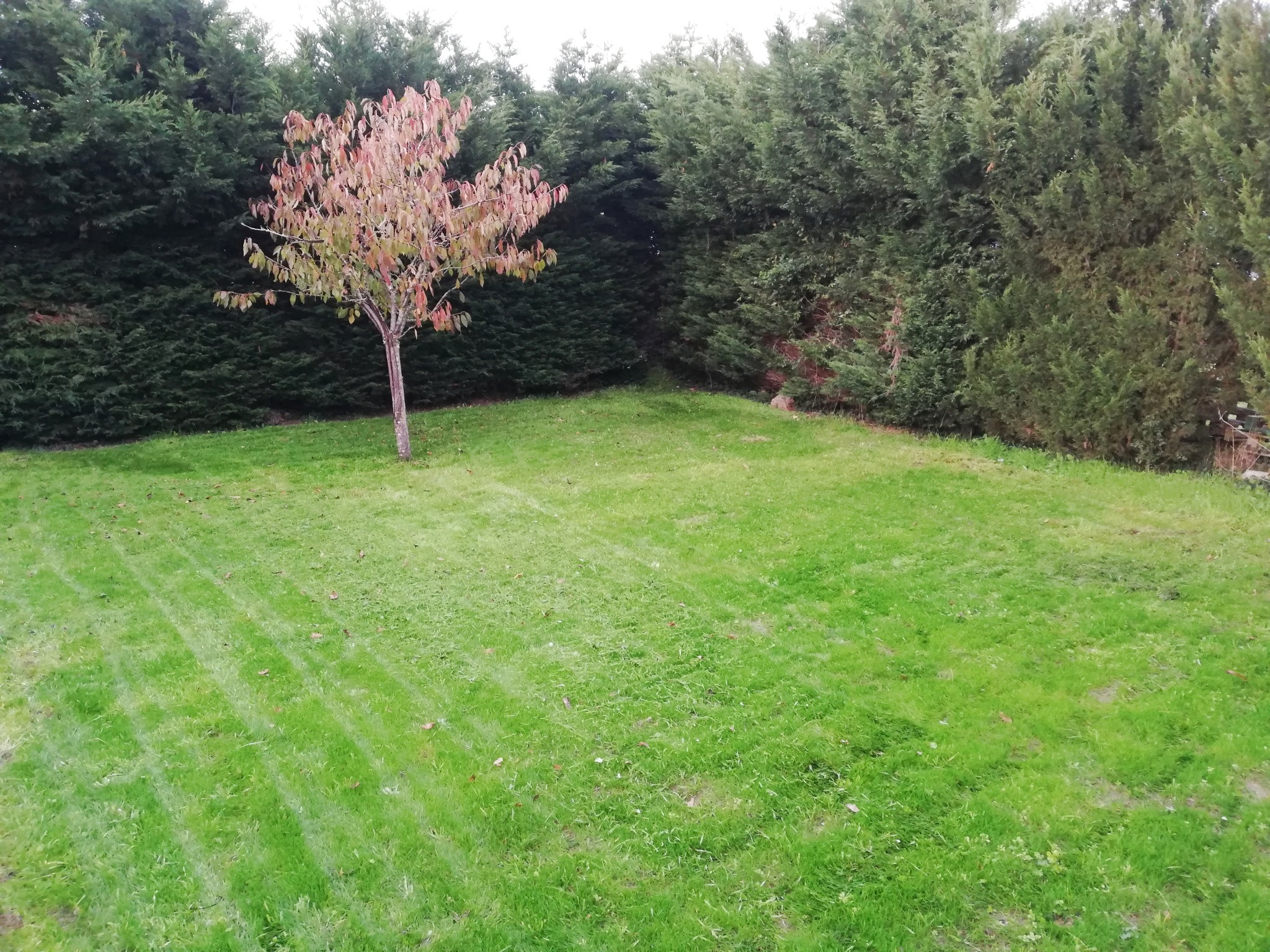 Ensemble immobilier idéal pour projet familial, multigénérationnel ou investissement — photo 18
