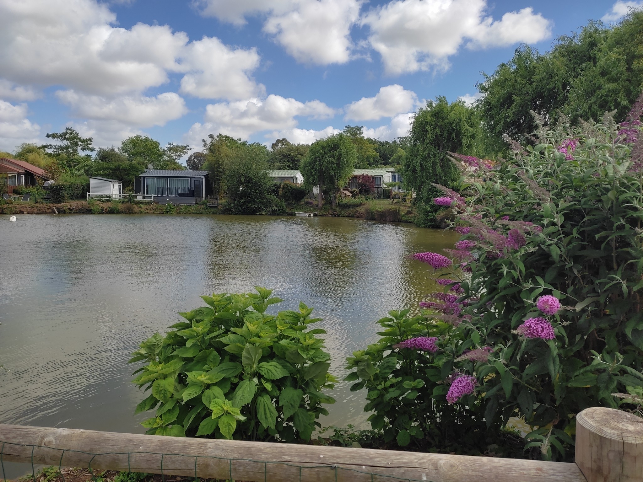 Ouvert à L'année Sud Vendée — photo 15