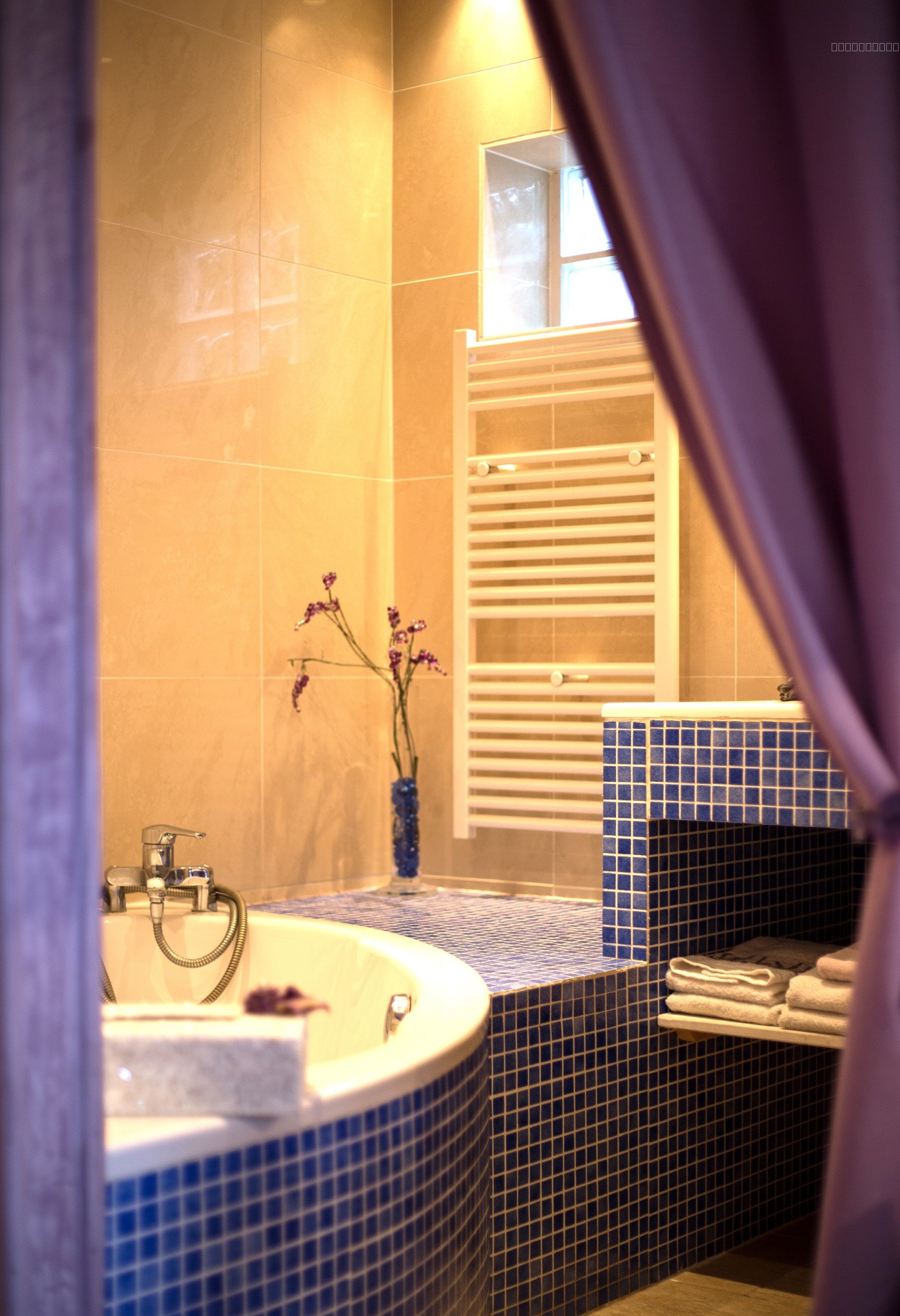 SUPERBE PROPRIETE ,8 CHAMBRES, CAP D'AGDE (34) — photo 5