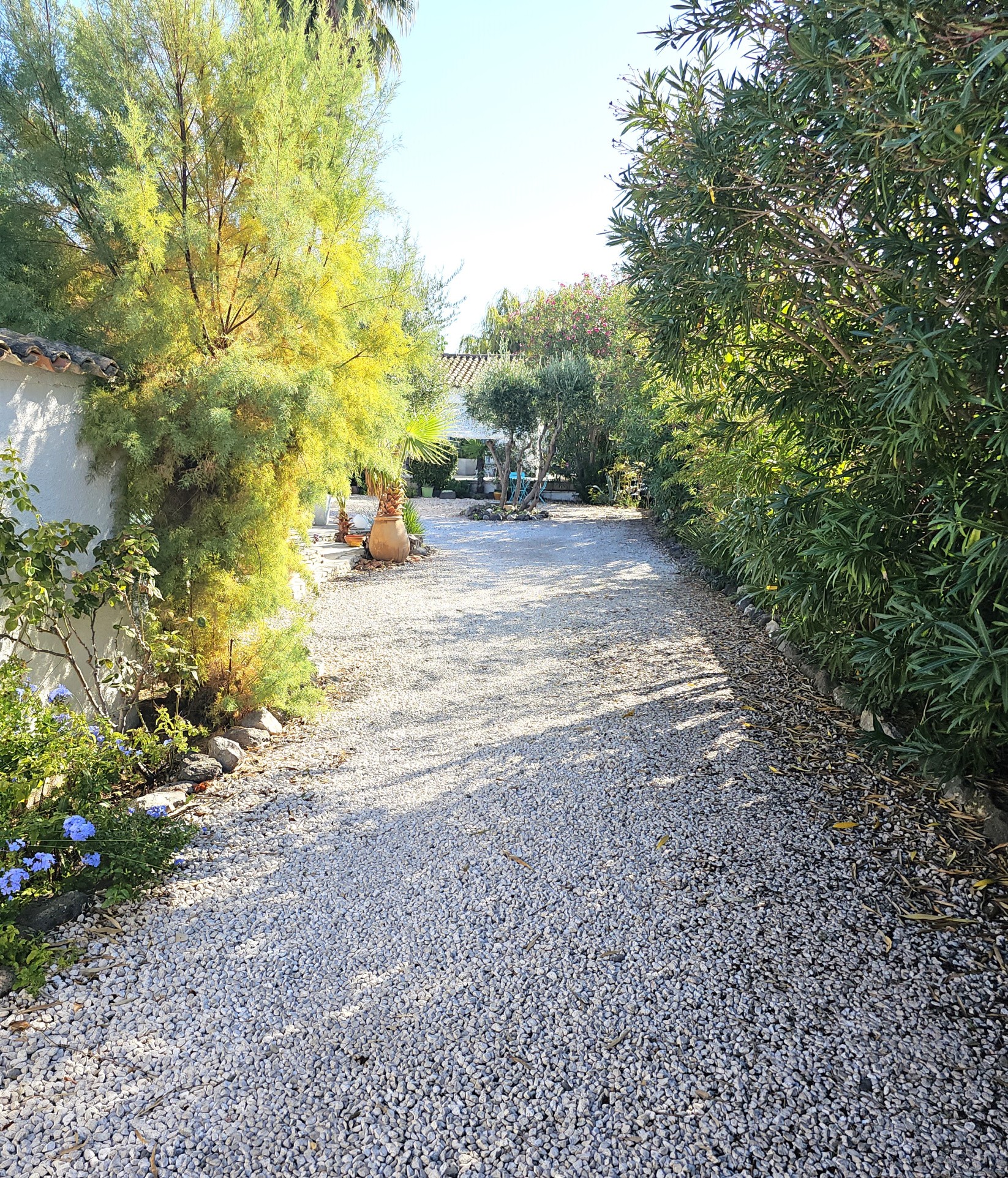 VILLA T4 PLAIN PIED + STUDIO, GRAU D'AGDE (34) — photo 4