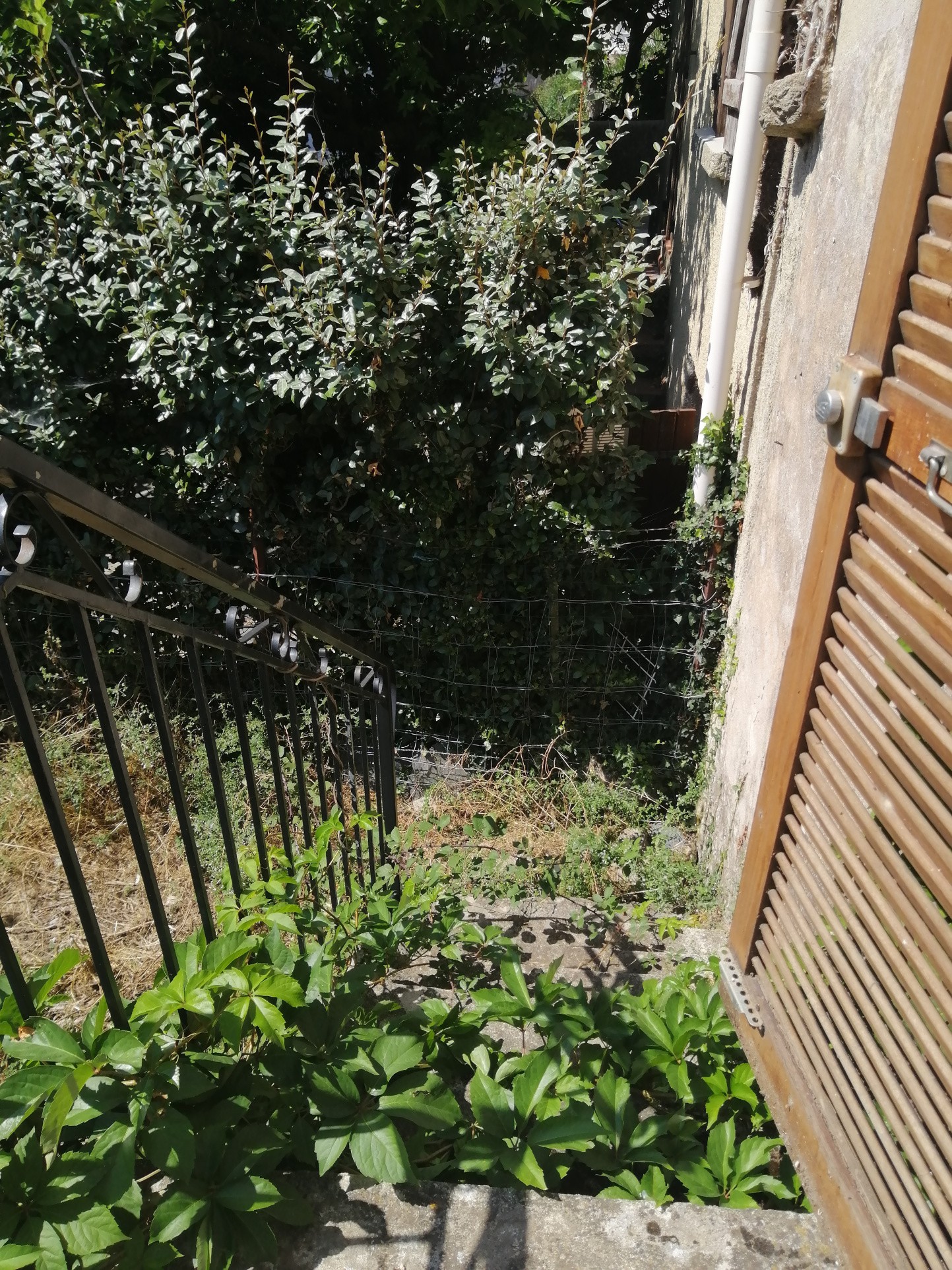 Prunelli-Di-Fiumorbo, maison de village 3 pièces à vendre — photo 7