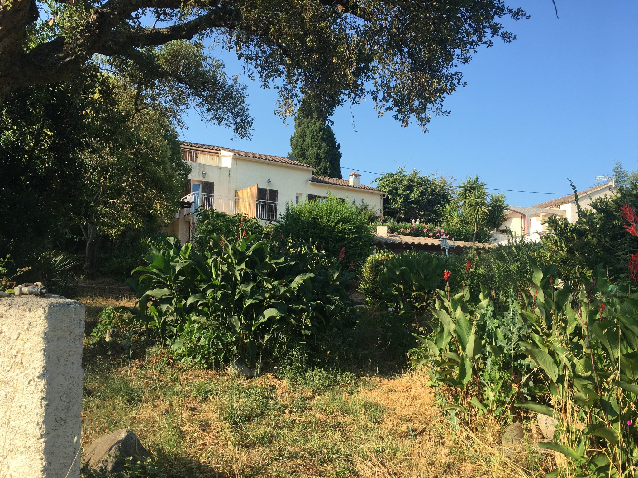 Ensemble Immobilier à Ghisonaccia — photo 12