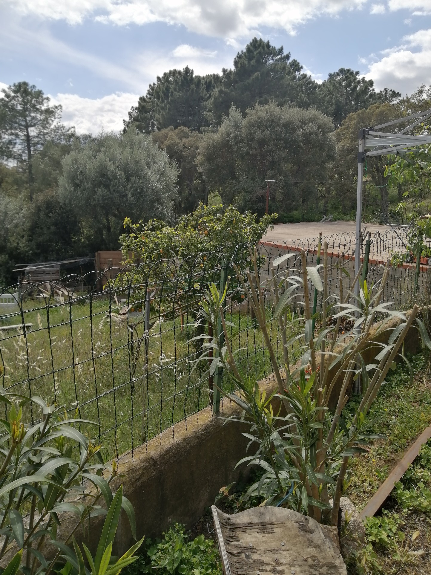 Maison 3 appartements sur deux niveaux à Lecci — photo 6